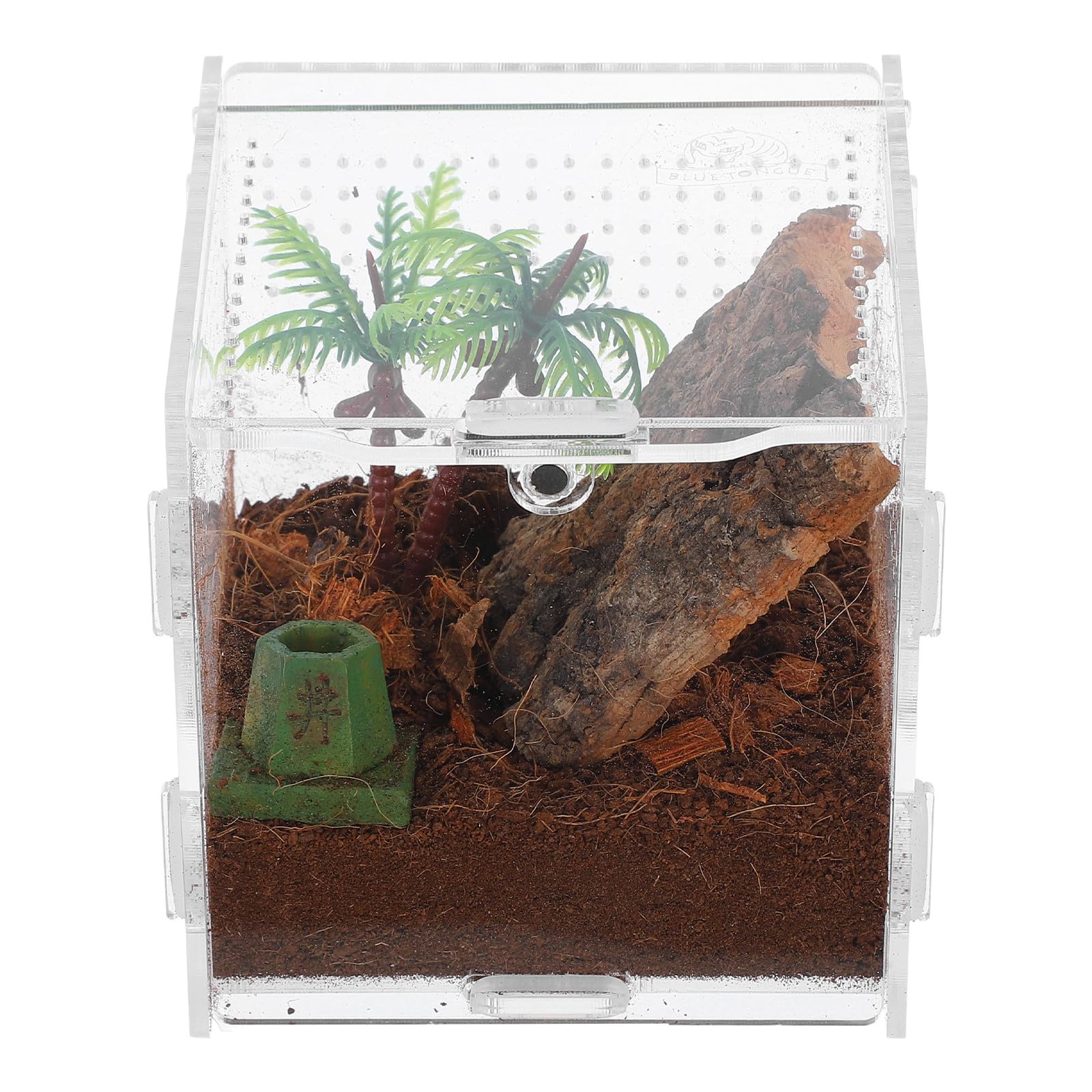 Cage araignée sauteuse anti-évasion en acrylique ultra transparent