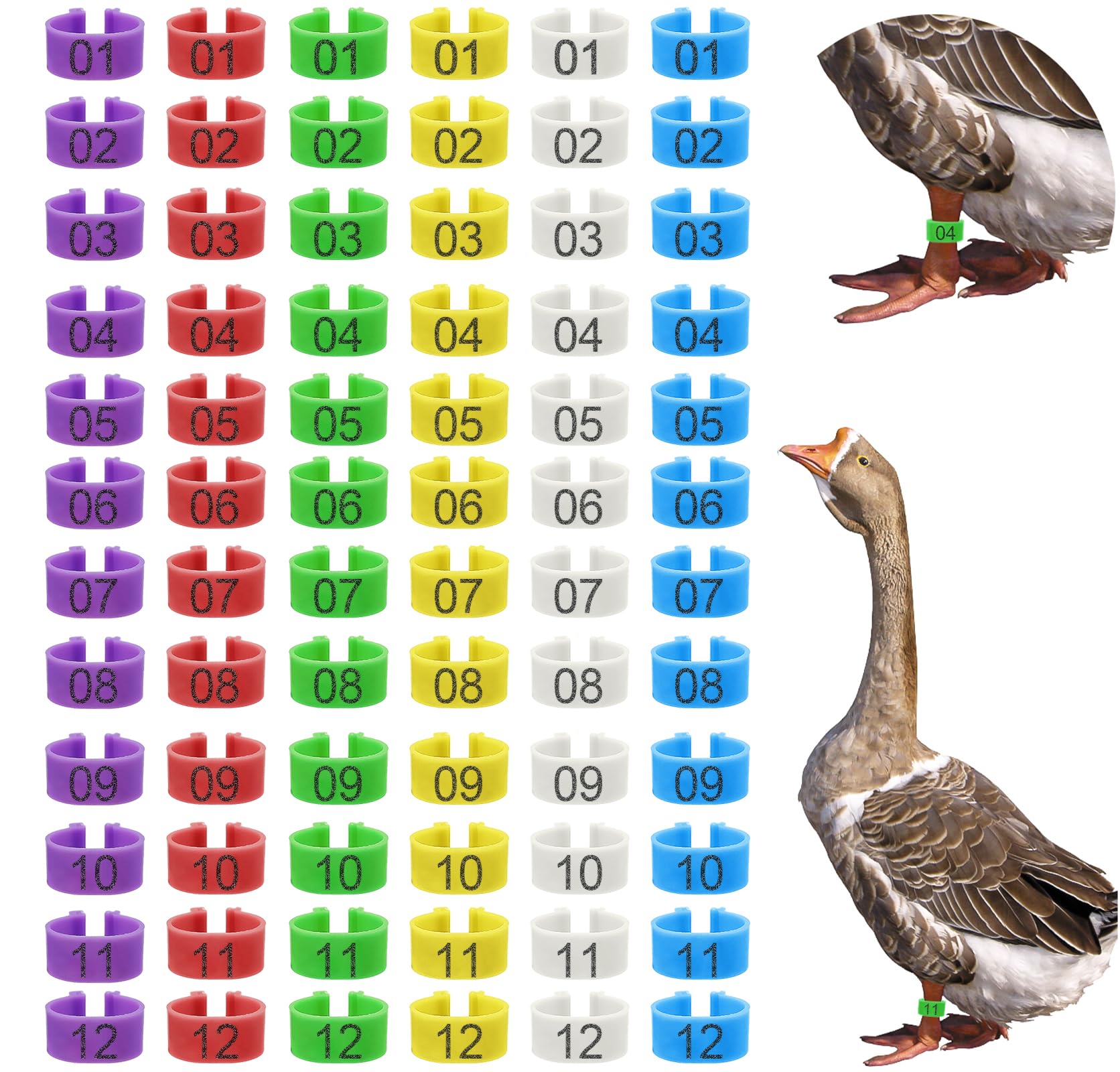Keedolla 72 Pcs 25mm Colorful Numbered Duck and Goose Leg Bands, Extra Large Chicken Leg Rings Poultry Turkey Leg Bands Clip on Duck Ankle Tags for Turkey Goose Duck Guinea Chicken Gamefowl