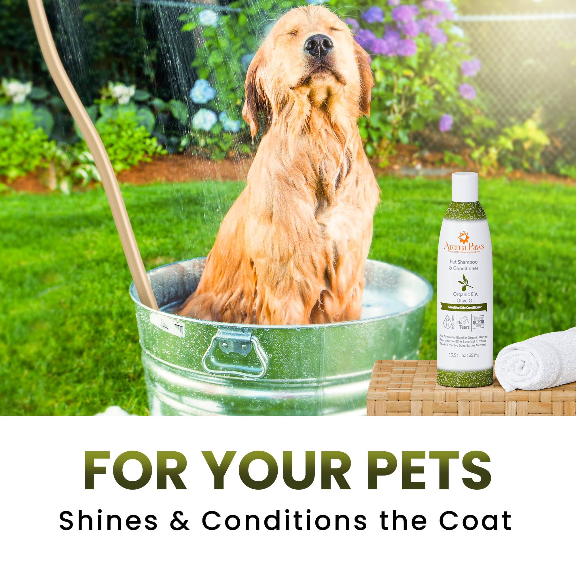 Can You Use Olive Oil On Dogs Skin