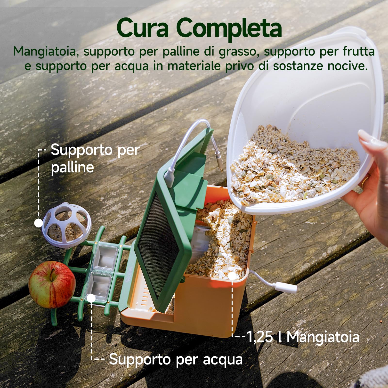 Rollei Mangiatoia per Uccelli Intelligente con Telecamera 3K Smart Bird Feeder da Esterno con Pannello Solare AI Identificazione di 10000 Uccelli Visione Notturna a Colori Notifica Istantanea IP65