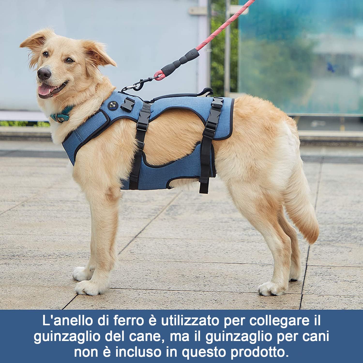 COODEO Imbracatura Sollevamento Cani, Supporto Integrale & Fascia Riabilitazione con Spalline Regolabili/Traspiranti per Cani Anziani, Disabili, con Artrite, Paralisi o Problemi Articolari (blu,M)