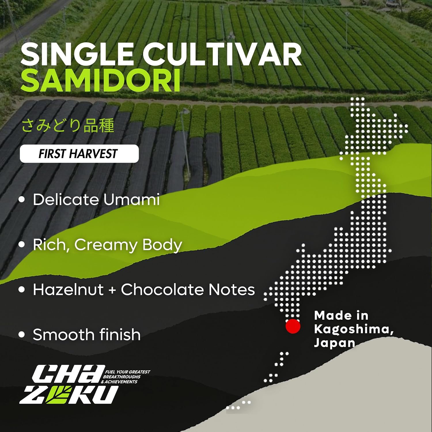 Chazoku Samidori (100g Tin) Ceremonial Grade Matcha Powder - First Harvest Single Cultivar - Japanese Matcha Green Tea Powder - Stone Milled - Fresh from Kagoshima, Japan image 4