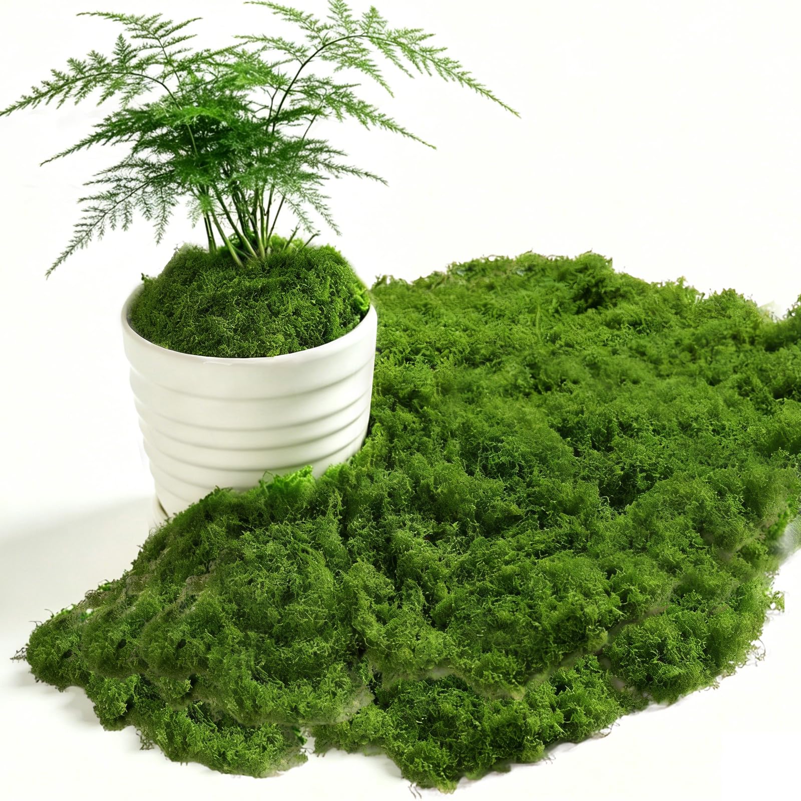 200g Musgo Artificial Verde Oscuro, para Pared, Habitación Infantil, Acuario, Maquetas, Plantas Artificiales, Decoración de Habitaciones