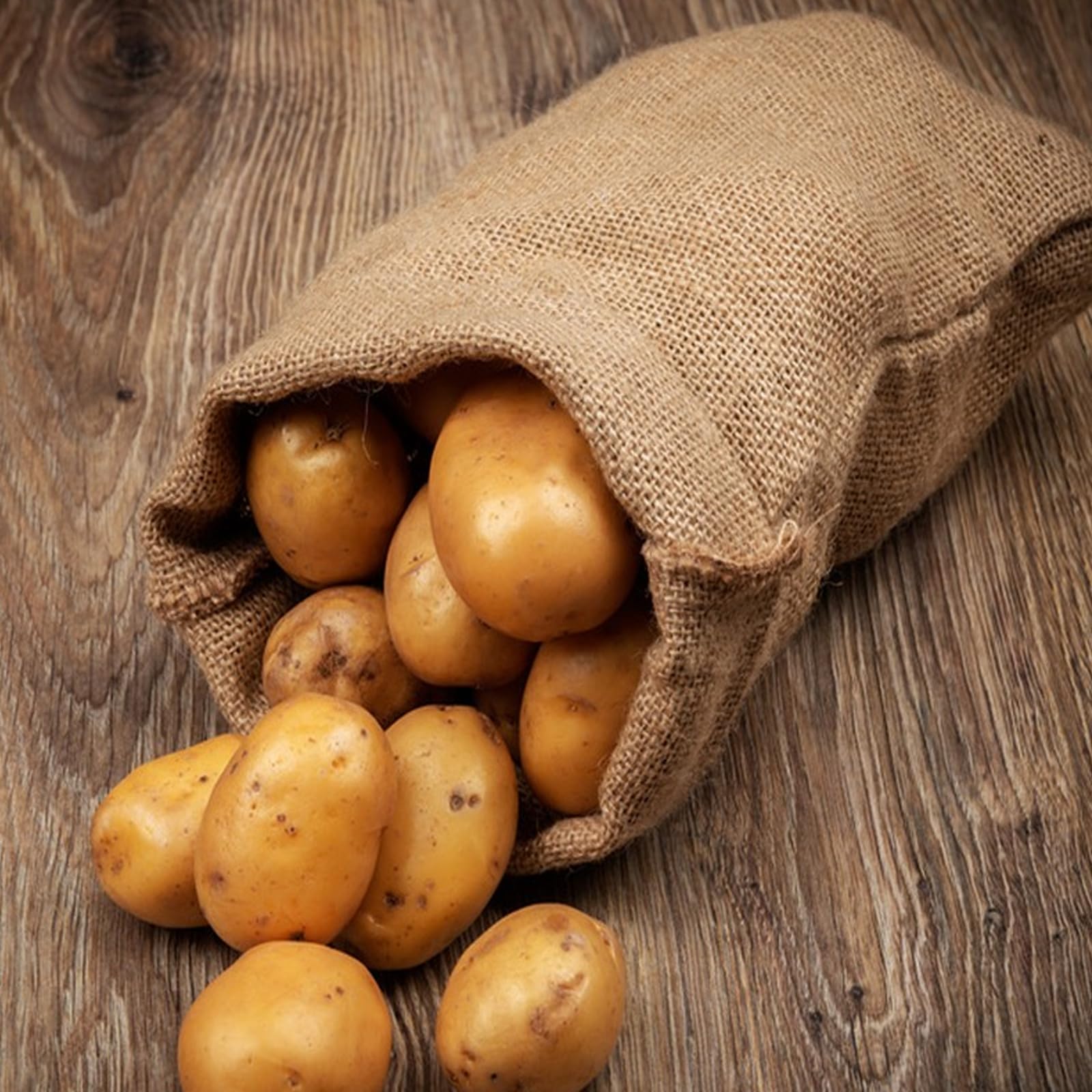 YAYODS Confezione da 5 sacchi di iuta grandi, 100 cm x 61 cm, per la conservazione, resistenti e durevoli, sacchetti di iuta per patate e verdure