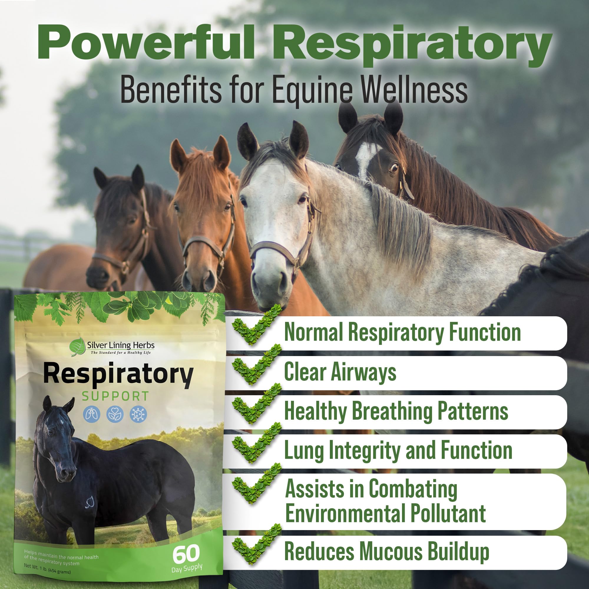 Respiratory Lung Support for Horses - 1 lb — Amazon image 2