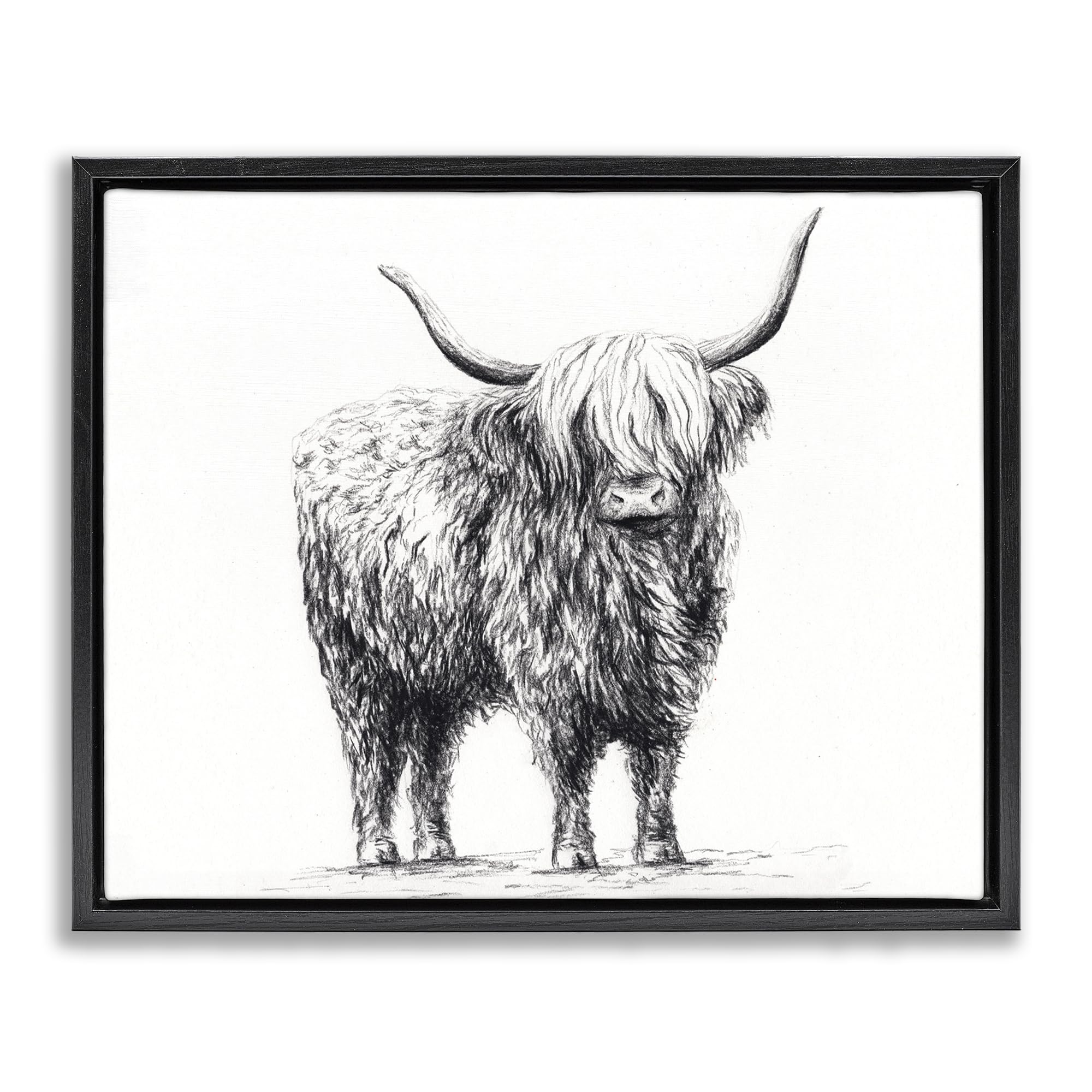 Stupell Industries 'Highland Cow in Charcoal', Floating Frame Canvas Art, Black, 21 x 17 Inches, Easy to Hang and Sturdy, Made in USA, by Leah Noel Art