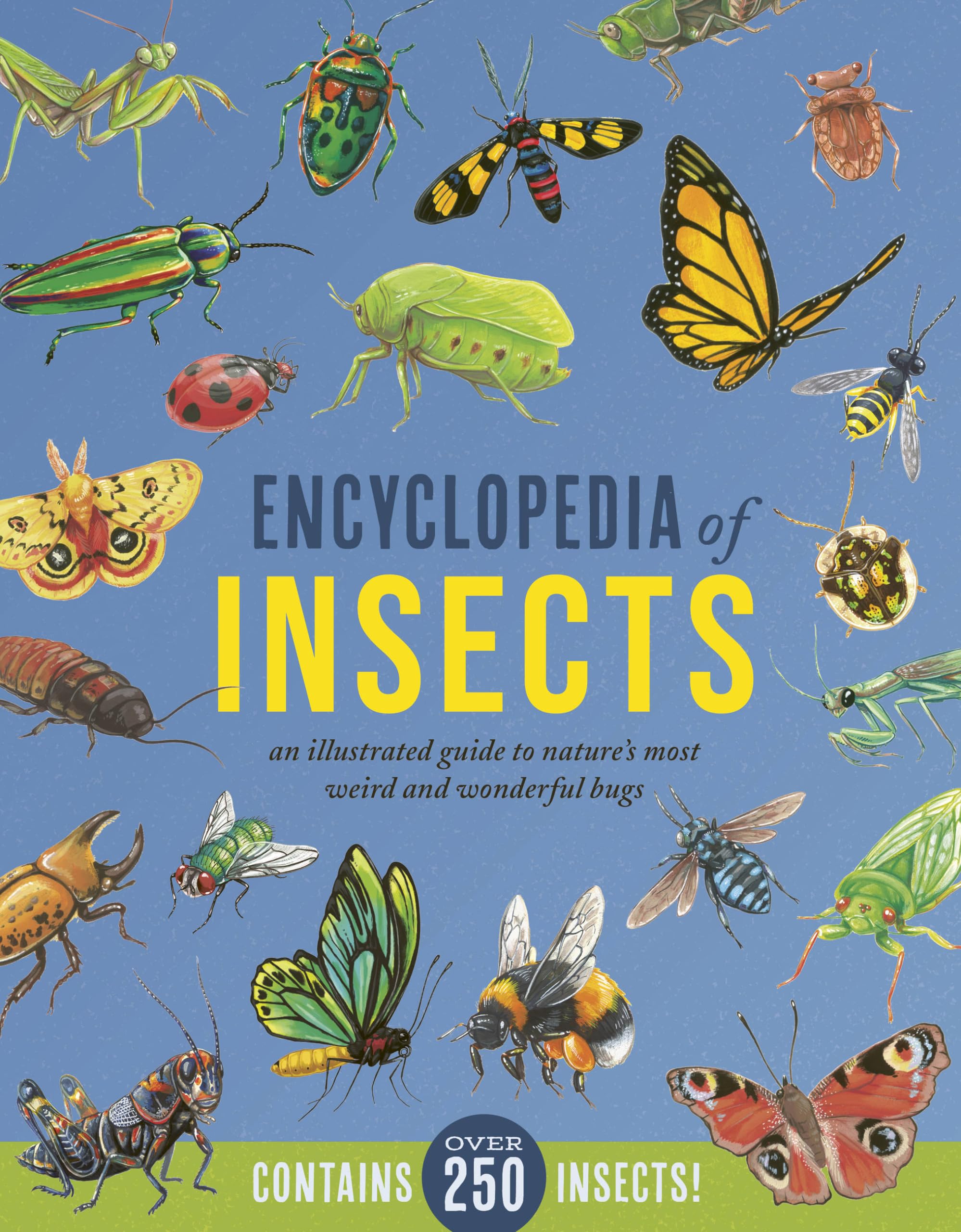 Buy Encyclopedia of Insects: An Illustrated Guide to Nature’s Most ...