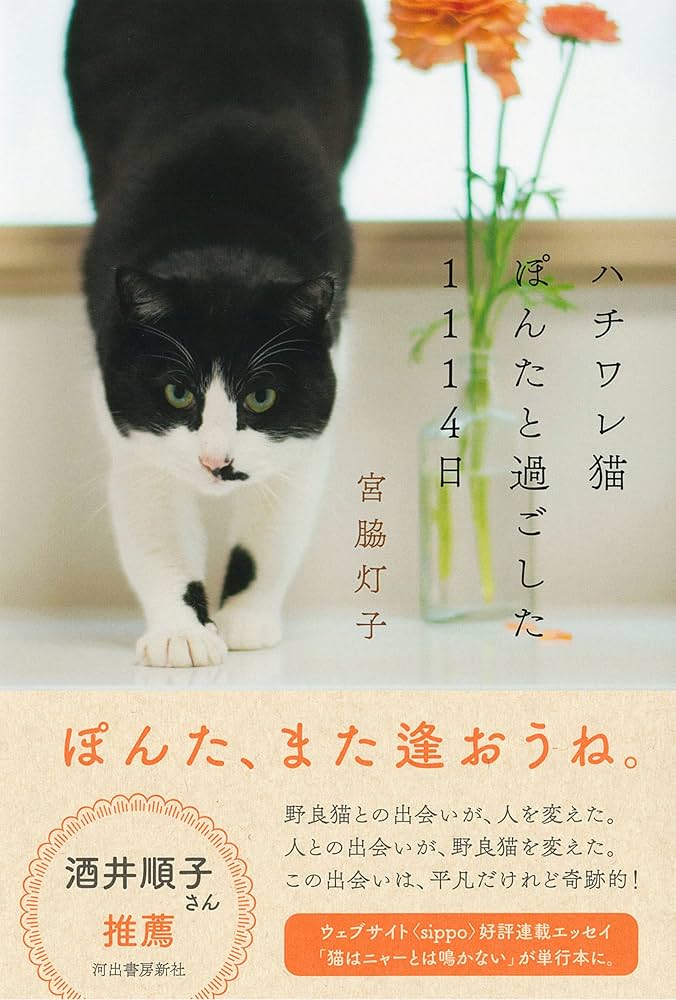 【猫派出品】 尾道市立美術館 on X: 