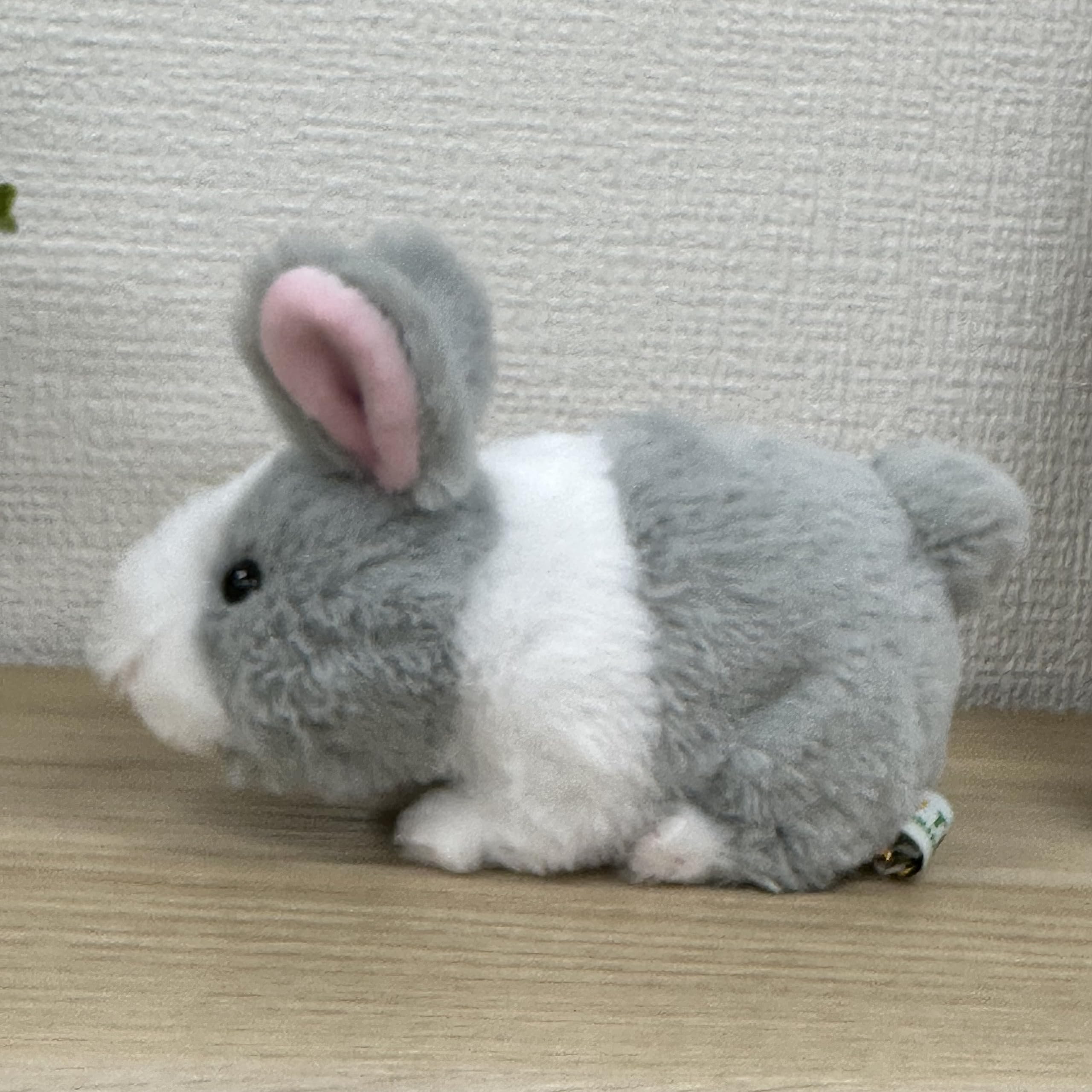 Amazon.co.jp: キュート販売 ぬいぐるみ MOU MOU うさぎ S グレー