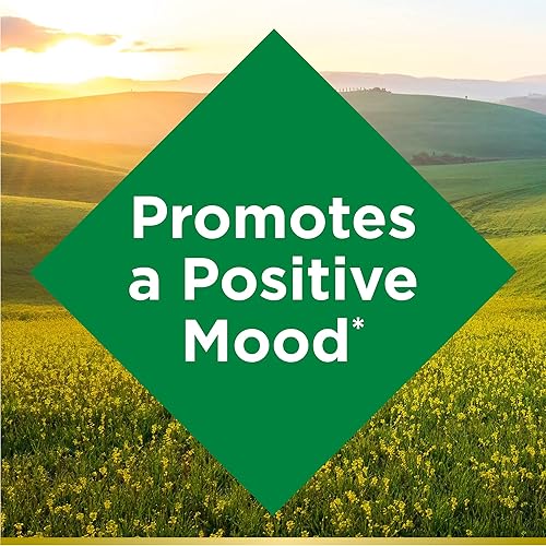 Miniatura 4 de Natures Bounty Cápsulas de hierba de San Juan de 300 mg suplemento de hierbas para la salud promueve un estado de ánimo positivo 100 cápsulas