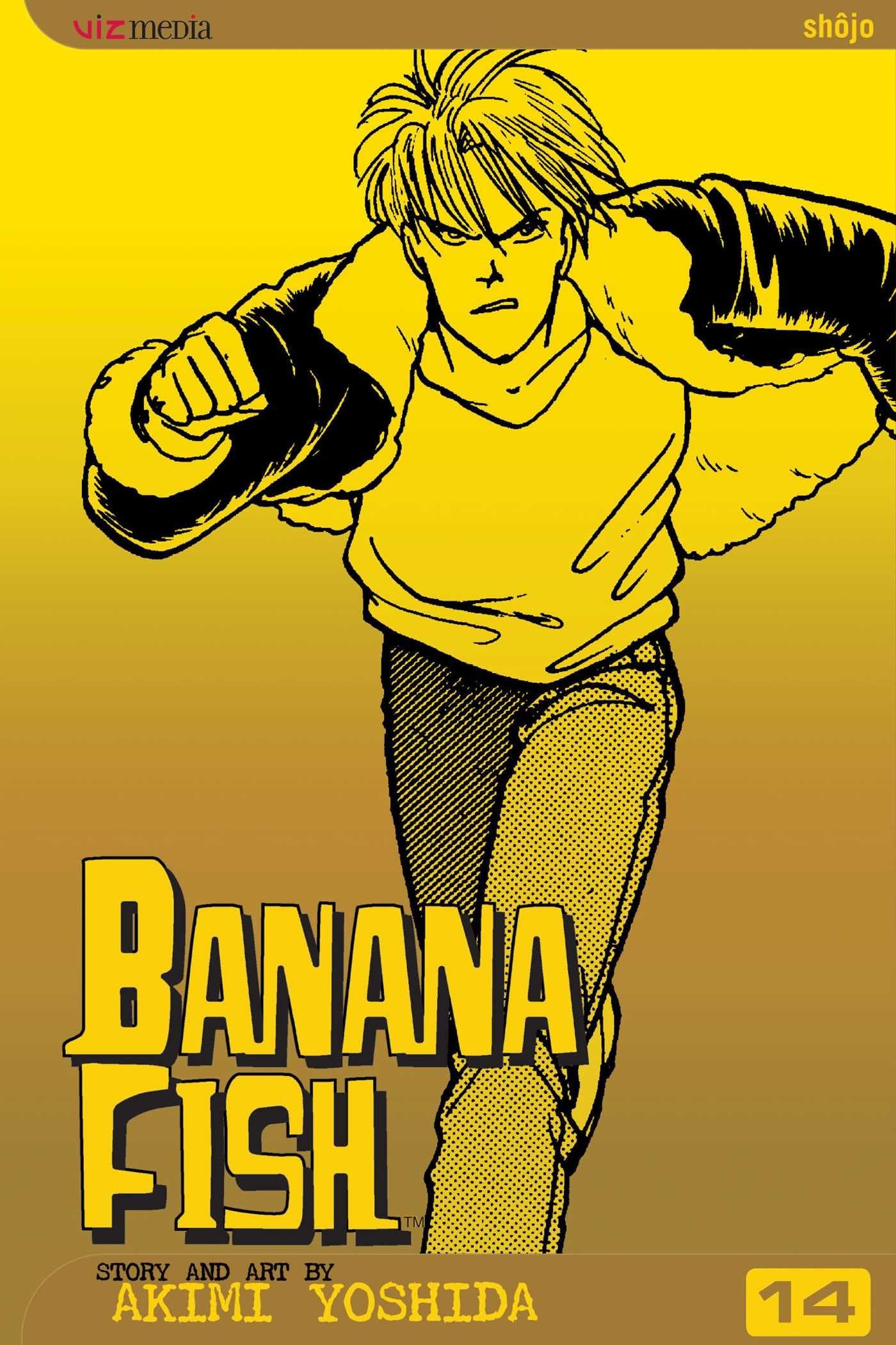 Banana Fish, Vol. 14 Volume 14