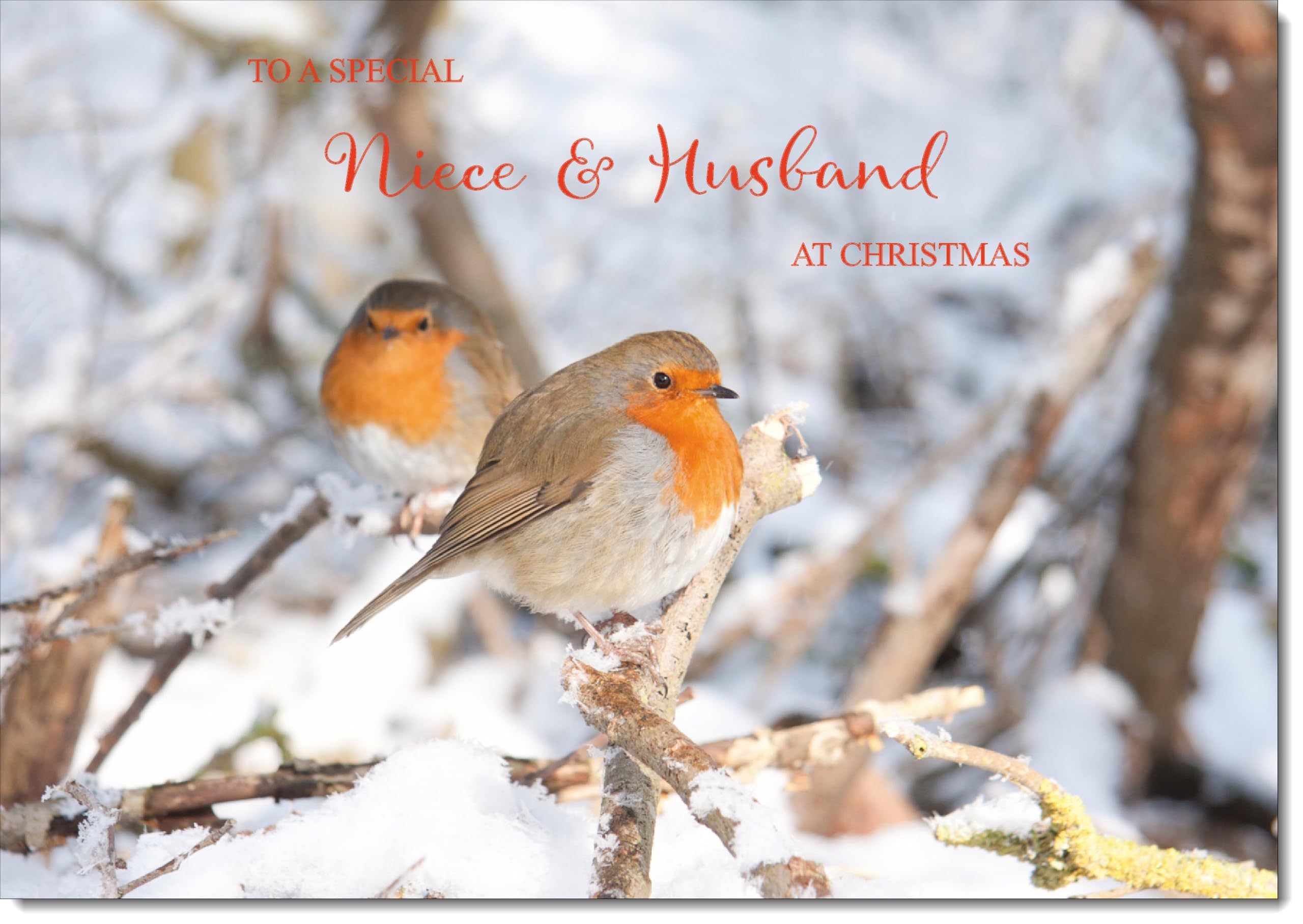 doodlecards Niece and Husband Christmas Card Two Robins in Tree Large A4 Size Christmas Card for Niece & Husband with Plain Envelope — image 1