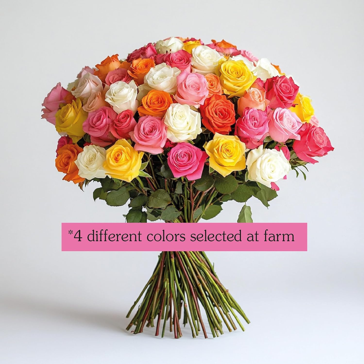 GlobalRose Fresh Cut Assorted Roses - 100 Roses (4 Bundles of 25) Fresh Bouquet for Mother's Day, Birthday, Anniversary, or Home Decor - Flowers Delivery Gift