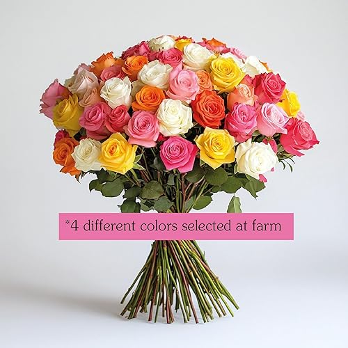 Miniatura 3 de globalrose 240Blooms de tallos Amarillo Select Alstroemerias 60 Lily Flores peruana para la entrega  perfecto para regalos, boda, aniversario,