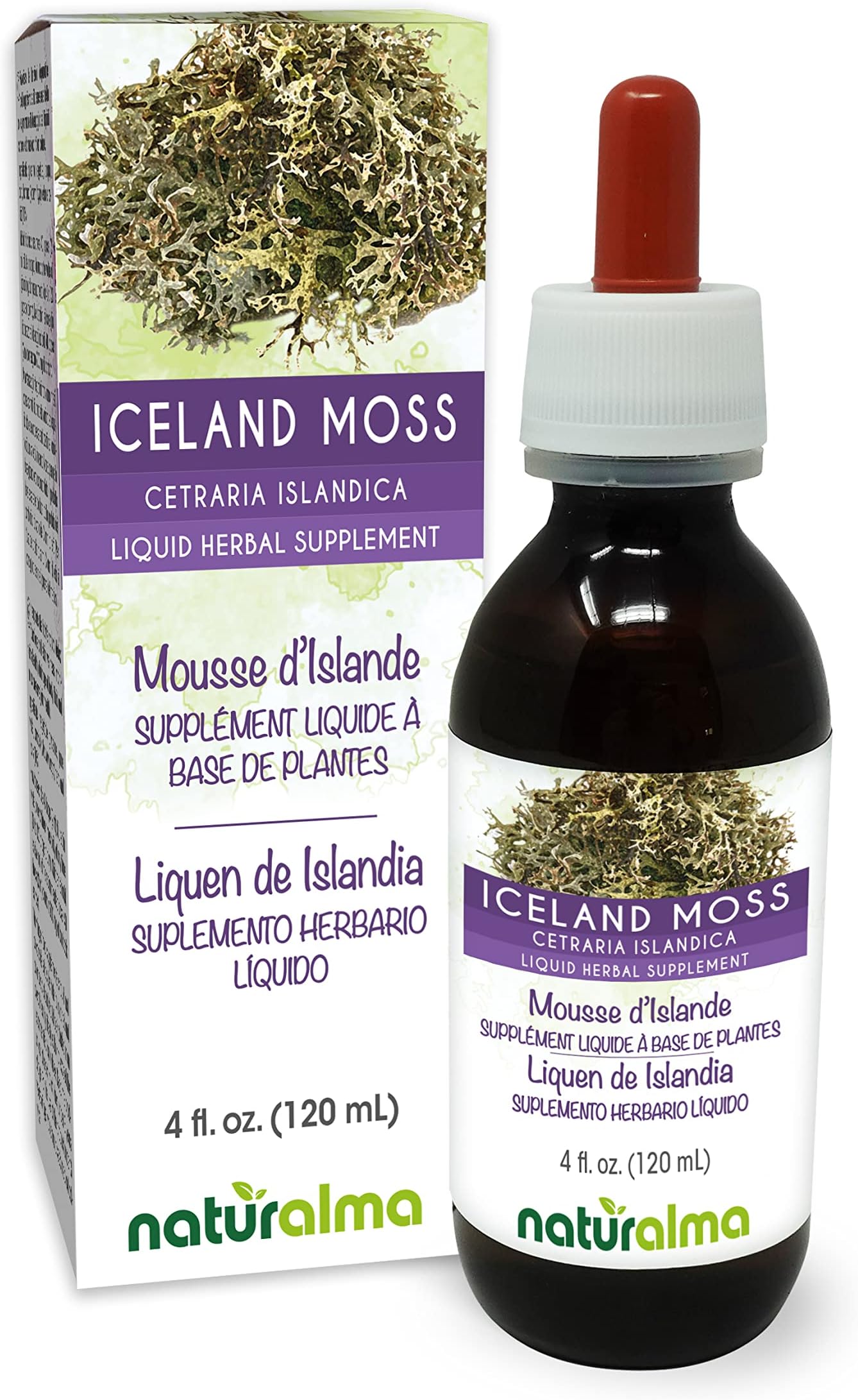 Naturalma Iceland Moss (Cetraria islandica) Thallus (Lichen) Alcohol-Free Tincture - 4 fl oz Liquid Extract in Drops - Herbal Supplement - Vegan