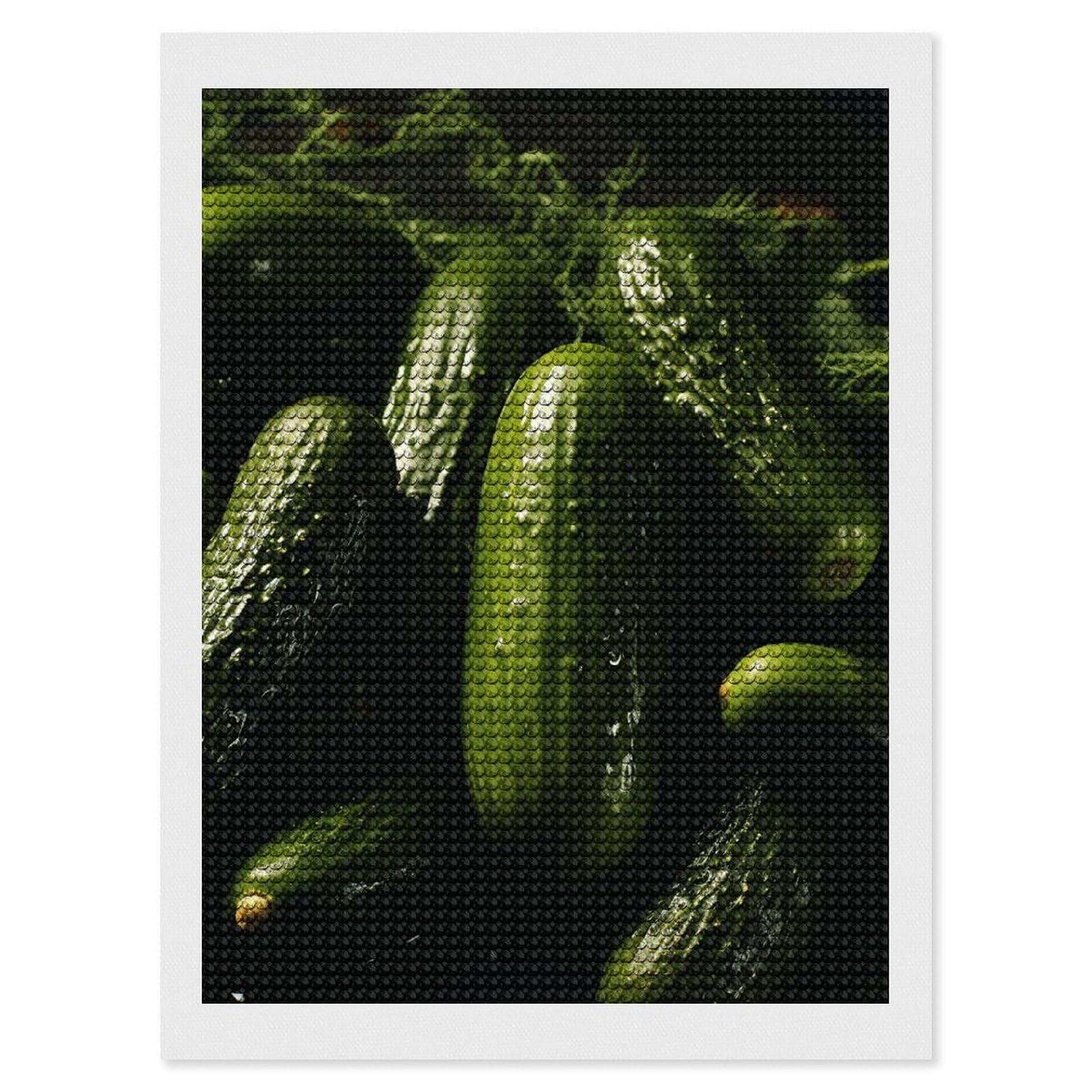 FekiLoot Pickle Diamond Art Kits for Adults, 5D Aurora Diamond Painting Kits for Beginners DIY Full Drill Dots Gem Art Paint Crafts for Home Wall Decor 12"x16"