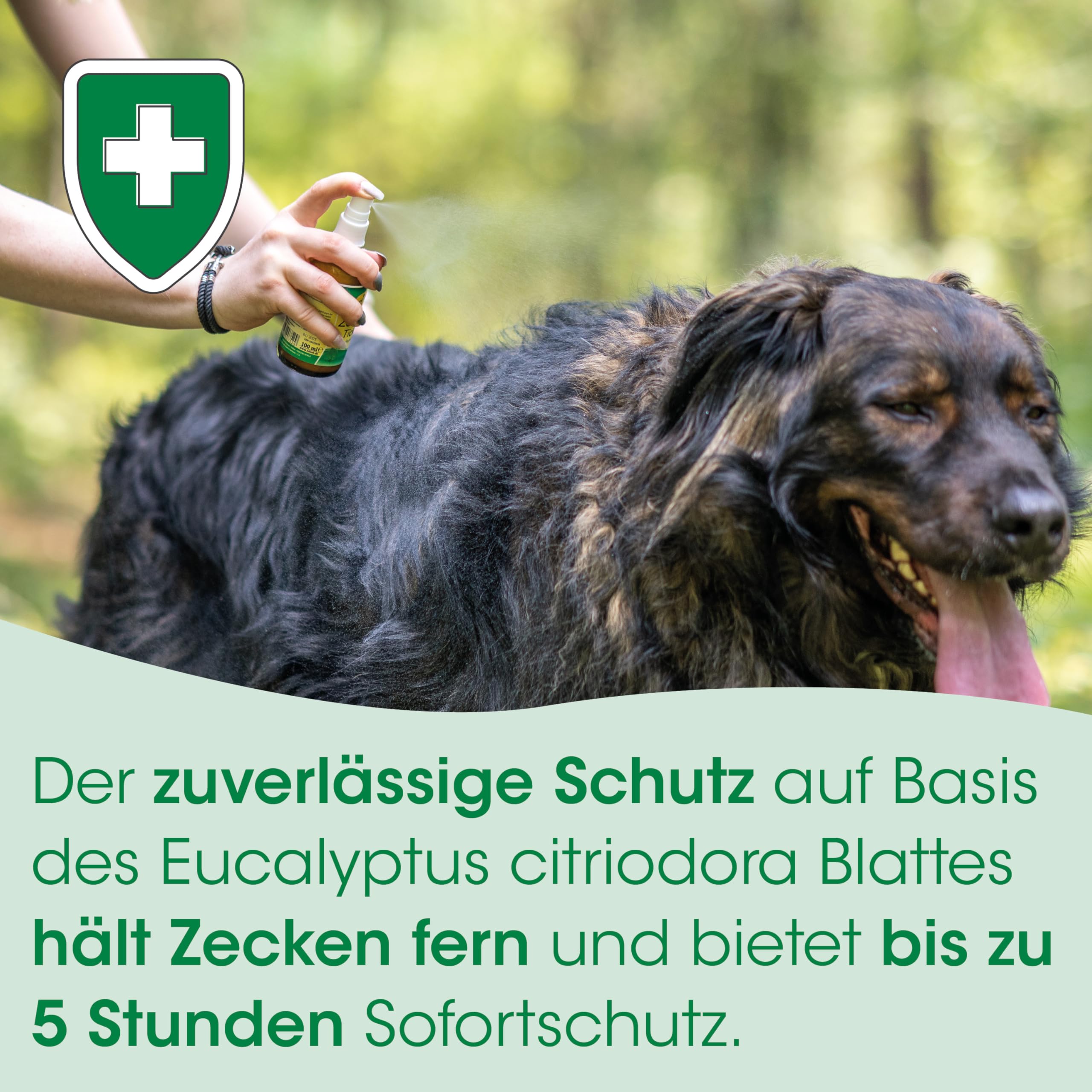 cdVet ZeckEx Zeckenabwehr-Spray 500 ml - Sofortschutz mit Langzeitwirkung für Mensch und Tier, natürliches Zeckenmittel ohne synthetische Zusatzstoffe, dermatologisch getestet