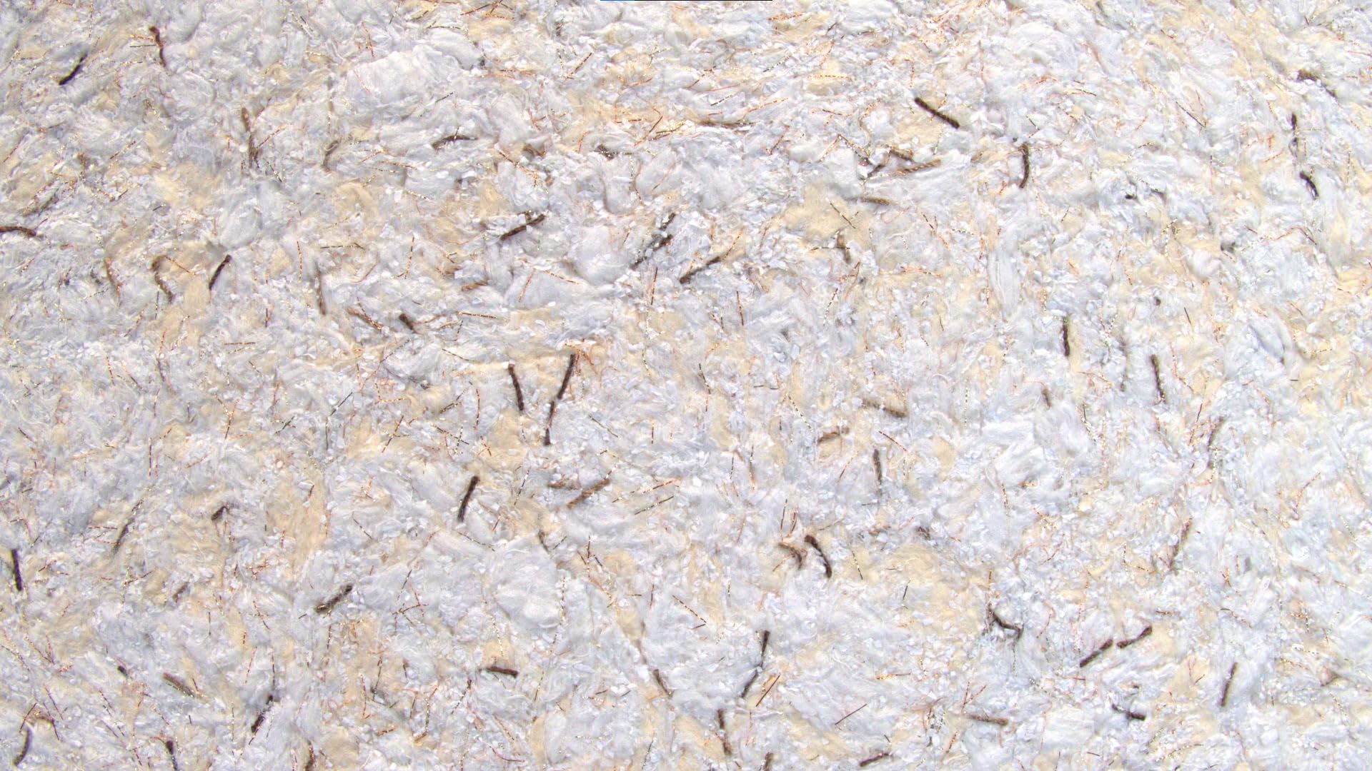 Baumwollputz Deluxe 34 - Grobe Flüssigtapete mit verschiedenen Effekten - 1kg ausreichend für ca. 4m²