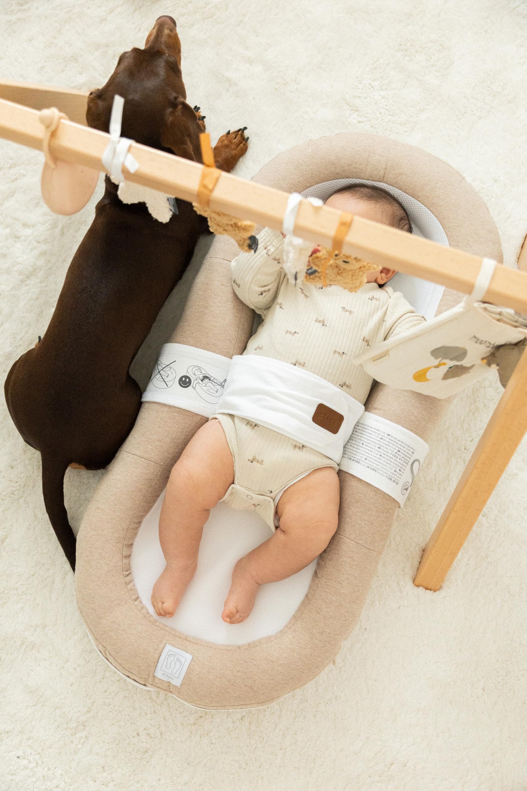 BÉABA, Cocoony Réducteur de Lit Bébé, Dès la Naissance, Cocon Apaisant et Respirant, Ceinture de Sécurité, Maintien sur le Dos, Textile Ultra Doux 100% Coton, Déhoussable, Lavable, Certifié Oeko-Tex