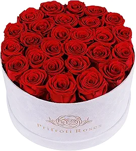 27 Flowers in a Luxury Suede Box, Birthday Gifts for Women, Preserved Flowers, Mothers Day Roses Gift for Mom, Red