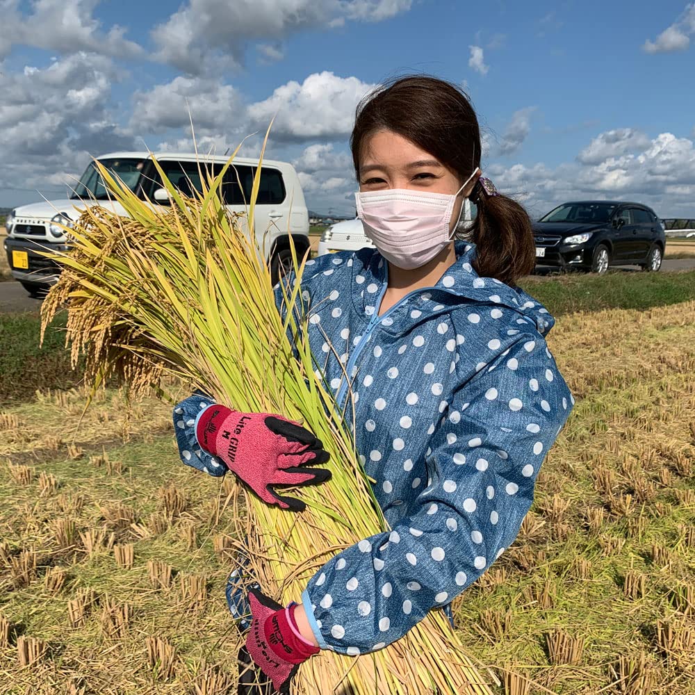 Amazon.co.jp: あきたこまち 玄米 25kg (5kg×5袋) 秋田県産 古代米お
