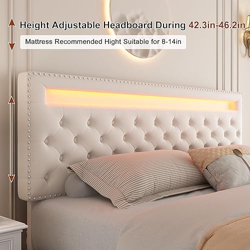 Miniatura 3 de Gegoforu - Base de cama LED Queen con 4 cajones de almacenamiento, plataforma tapizada con control inteligente RGBW luces LED cabecero, aplicación o