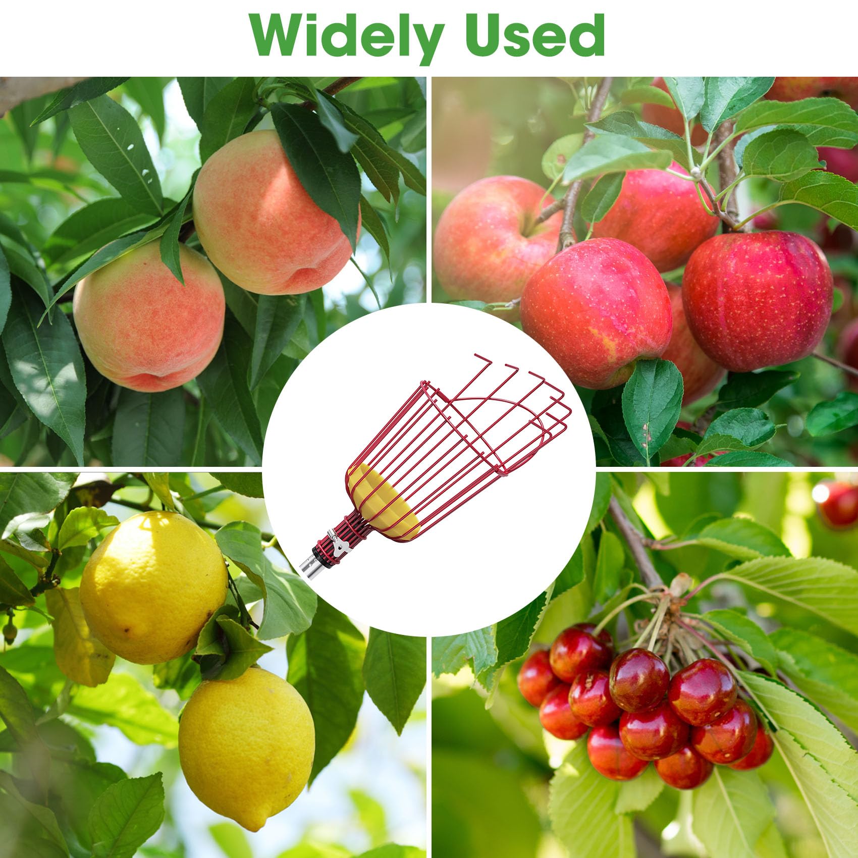Recogedor de frutas de 3,2 m, recogedor de frutas, recogedor de frutas con mango, fácil de montar, extensión de empalme ajustable