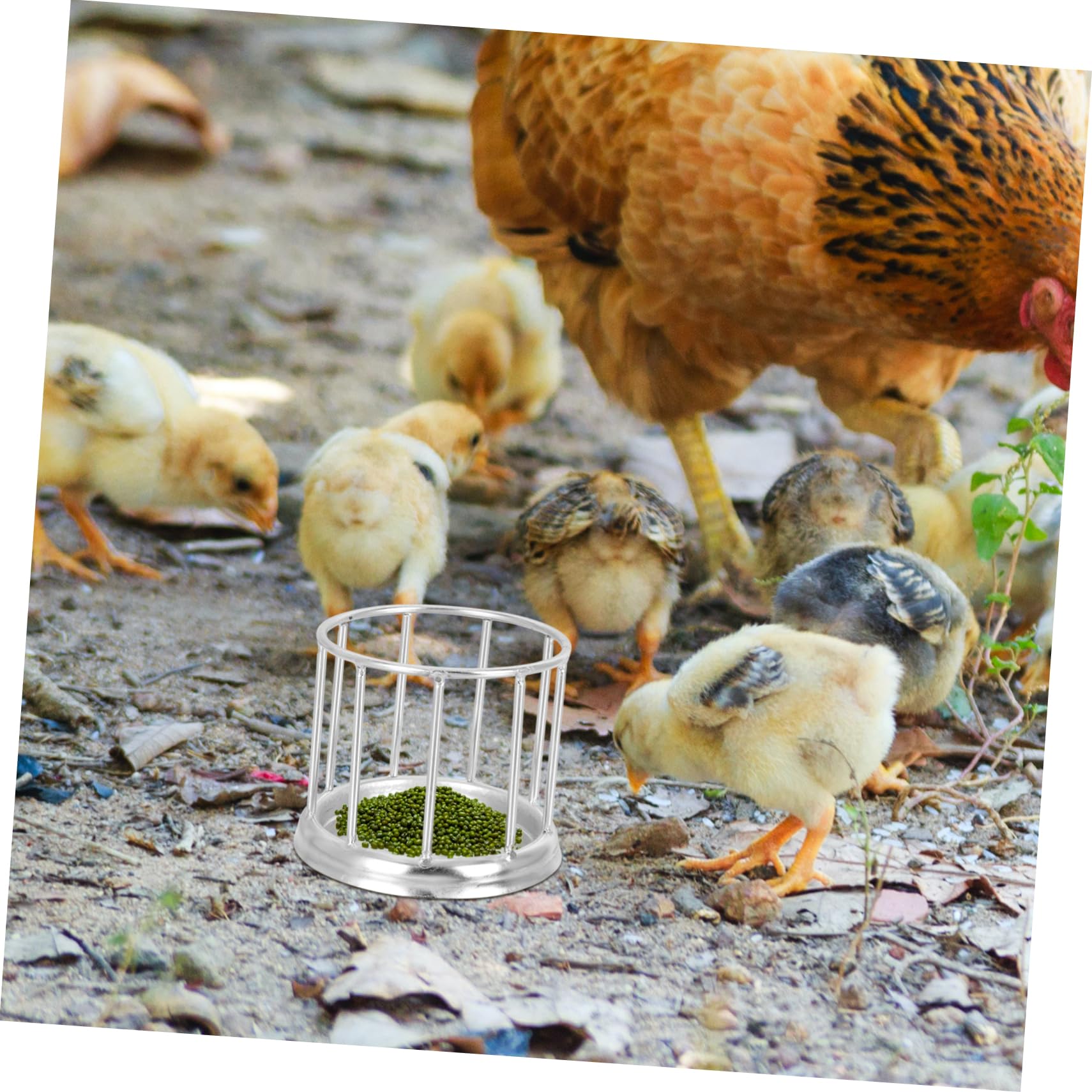 Mipcase 2pezzi Mangiatoia Acciaio Inossidabile per Tartarughe e Rettili Ciotola per Alimentazione Compatta e Facile da Pulire Design Resistente e Liscio Contenitore per Cibo per Animali