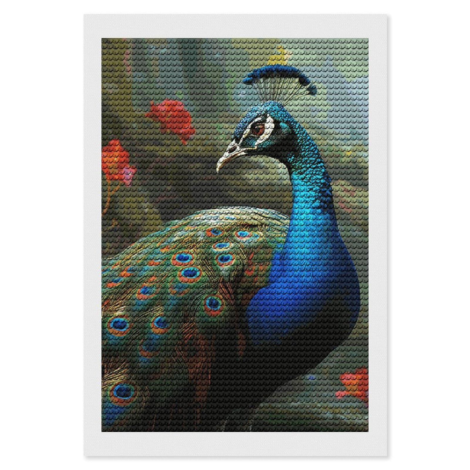 NONHAI Diamond Painting Kits for Adults - DIY Diamond Art Kits for Beginners - Full 5D Paint Drill Diamond Dots Paintings- Colorful Peacock Diamonds Pictures Gem Art and Craft Wall Decor 8"x12"