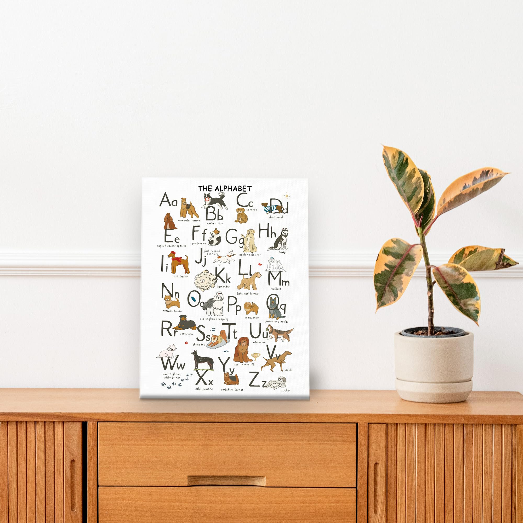 A Dog's /A Cat's イラスト大判ABCポスター 2枚/円筒容器 A Dog's /A Cat's イラスト大判ABCポスター 2枚/円筒容器 - メルカリ