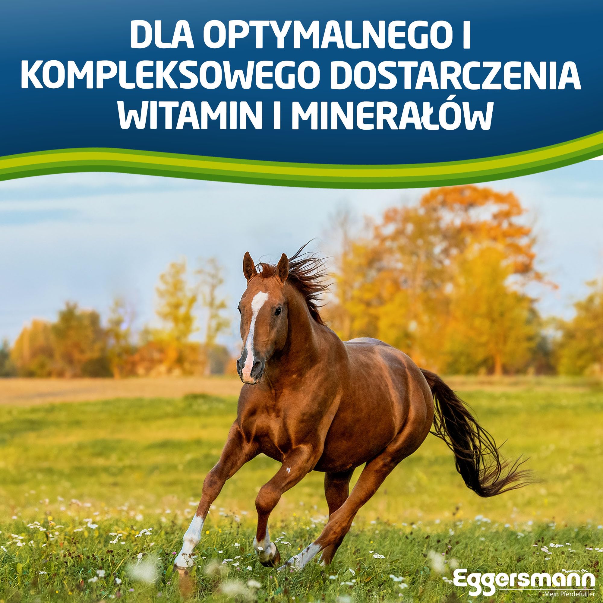 Eggersmann Horse Vital Plus 4kg Eimer