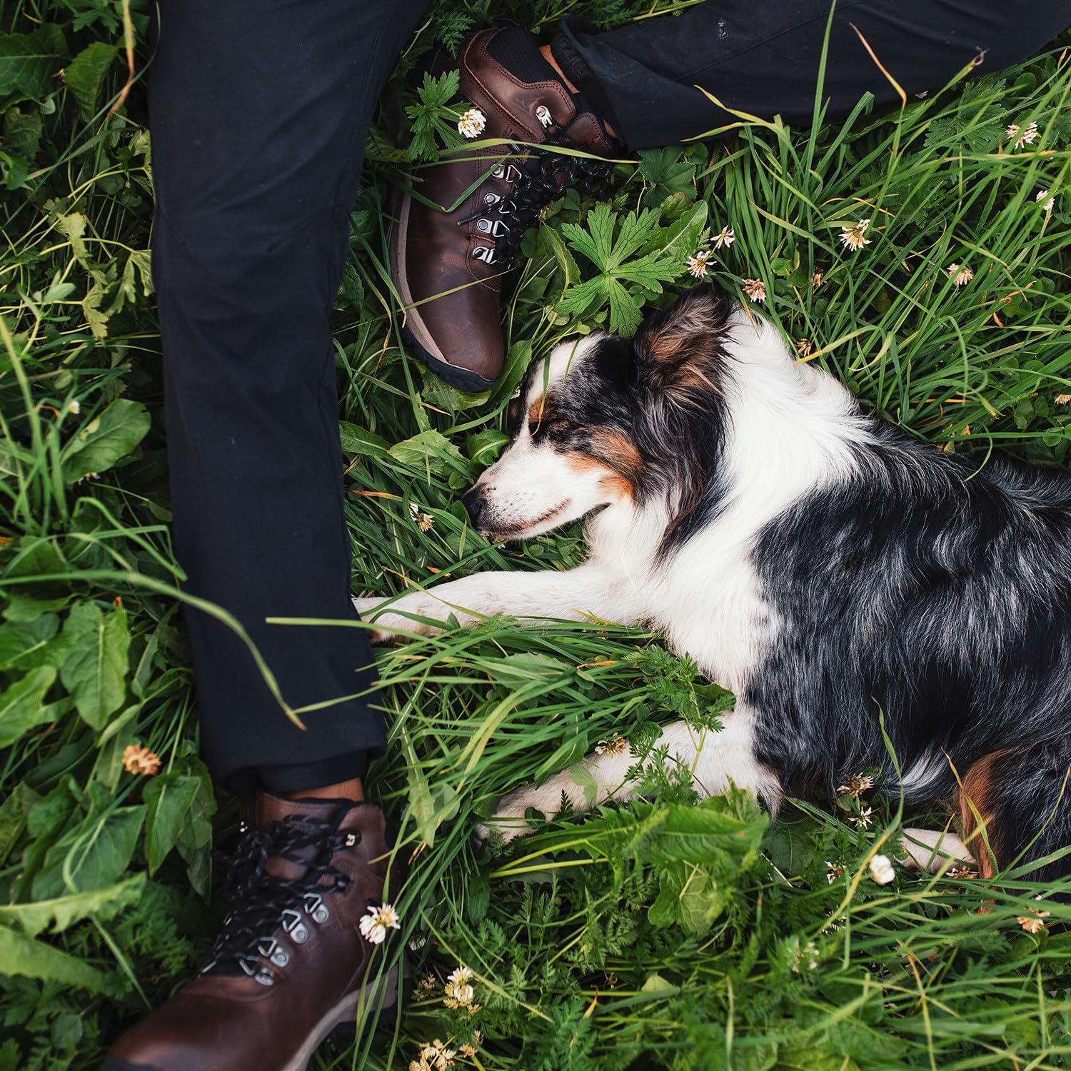 Zapatos Seguridad Hombre Paredes Botas De Montau00f1a Unisex