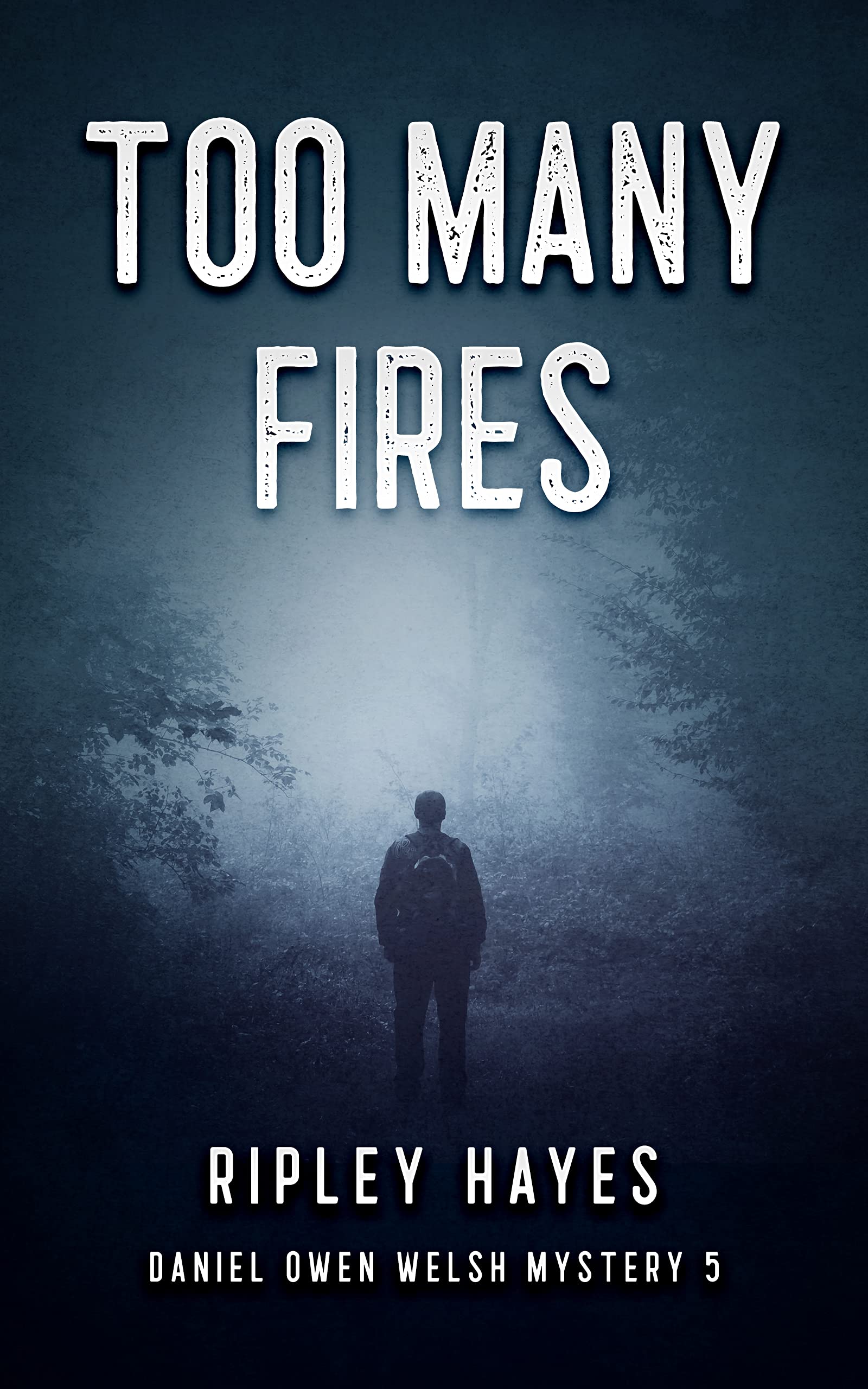 Too Many Fires: A Gay Mystery: Daniel Owen Welsh Mysteries 5