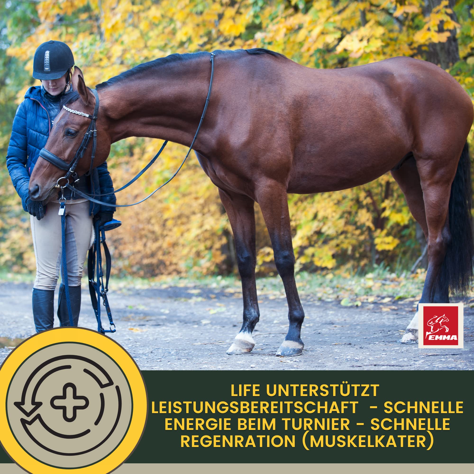 Elettroliti Cavallo I Polvere I Complesso di Aminoacidi I Sali Vitamine I Puro al 100% I Minerali Pelle Manto Zoccolo I Dopo Diarrea Sudorazione Vomito Acqua Booster Energetico Amino Cavalli 2,5Kg