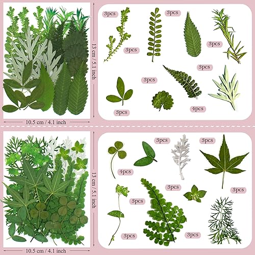 Miniatura 5 de 100 Piezas de Flores Secas Prensadas y Hojas para Moldes de Resina, Flores Silvestres Naturales Reales Secas a Granel Perfectas para Epoxi,