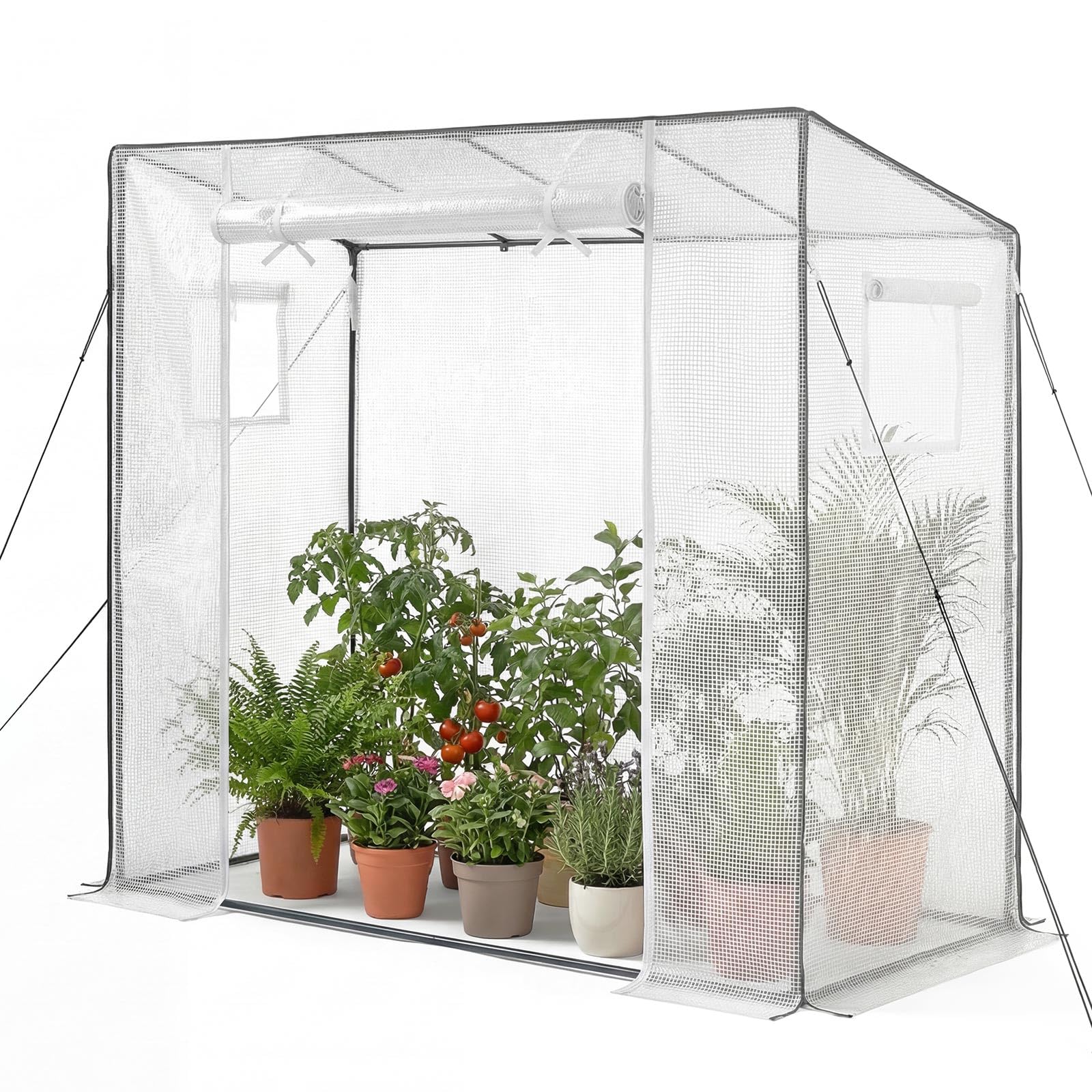 Amazon.com : VEVOR Walk-in Greenhouse, 76.8