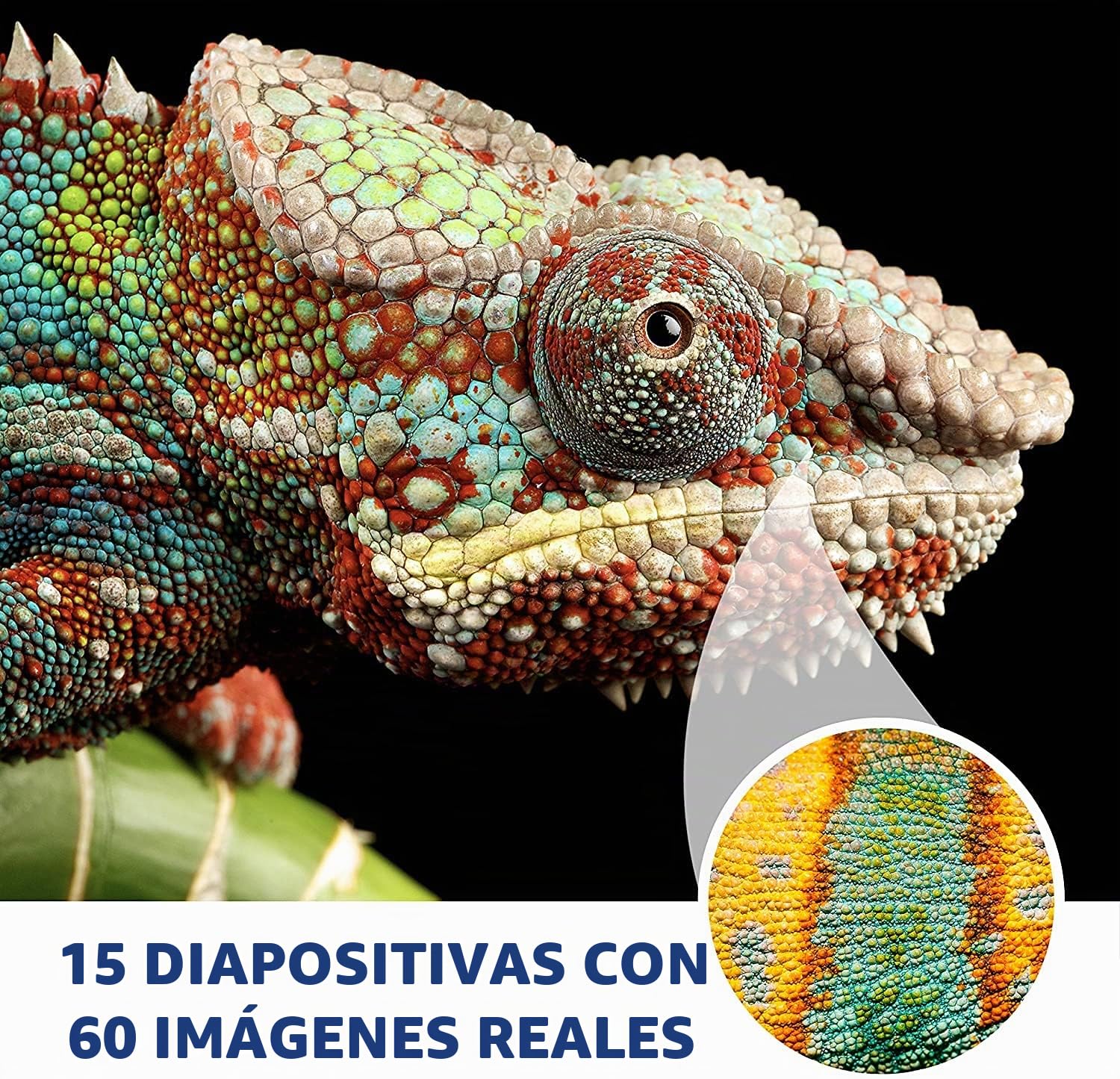 Learning Resources Microscopio KidScope GeoSafari Jr