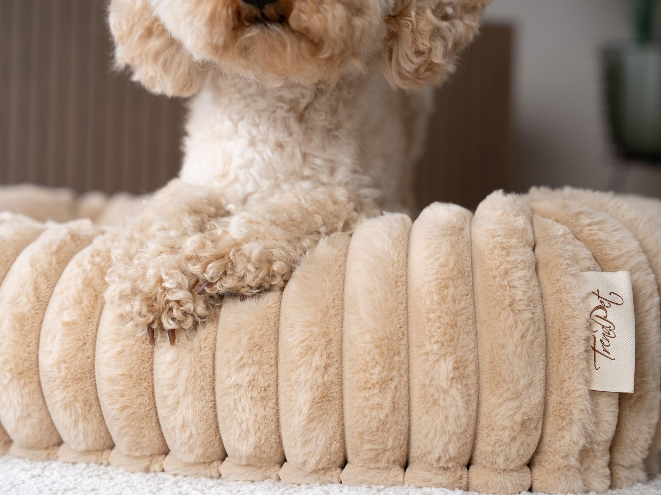 TrendPet Biscuit Cube, Hundebett (Caramel, M)
