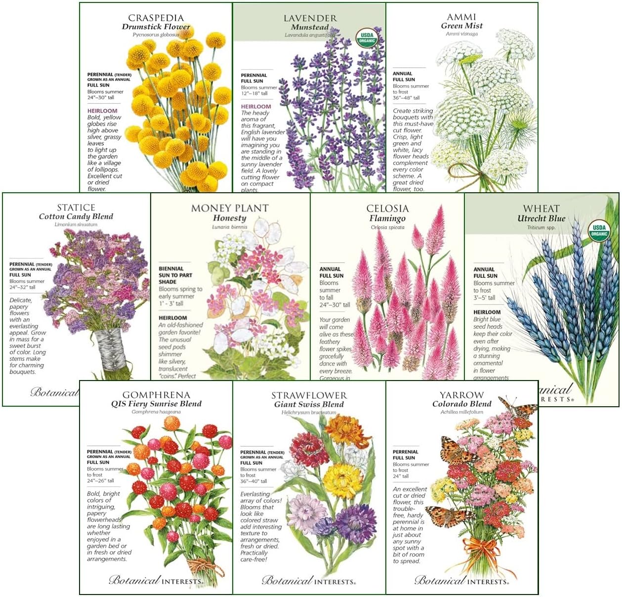 Botanical Interests "Cut Flowers" Seed Collection II, for