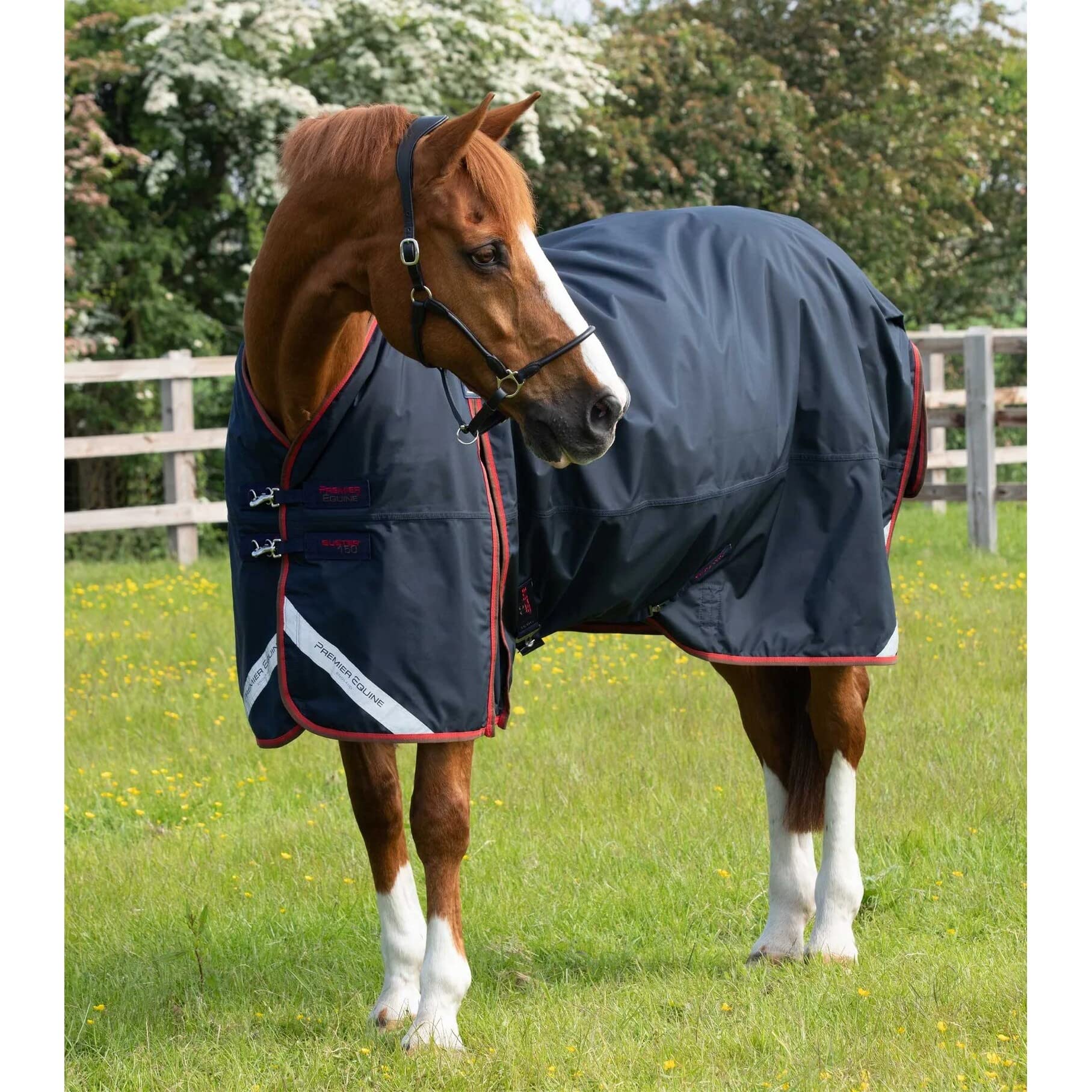 Coperta impermeabile per cavalli con copricollo Premier Equine Buster 150 g