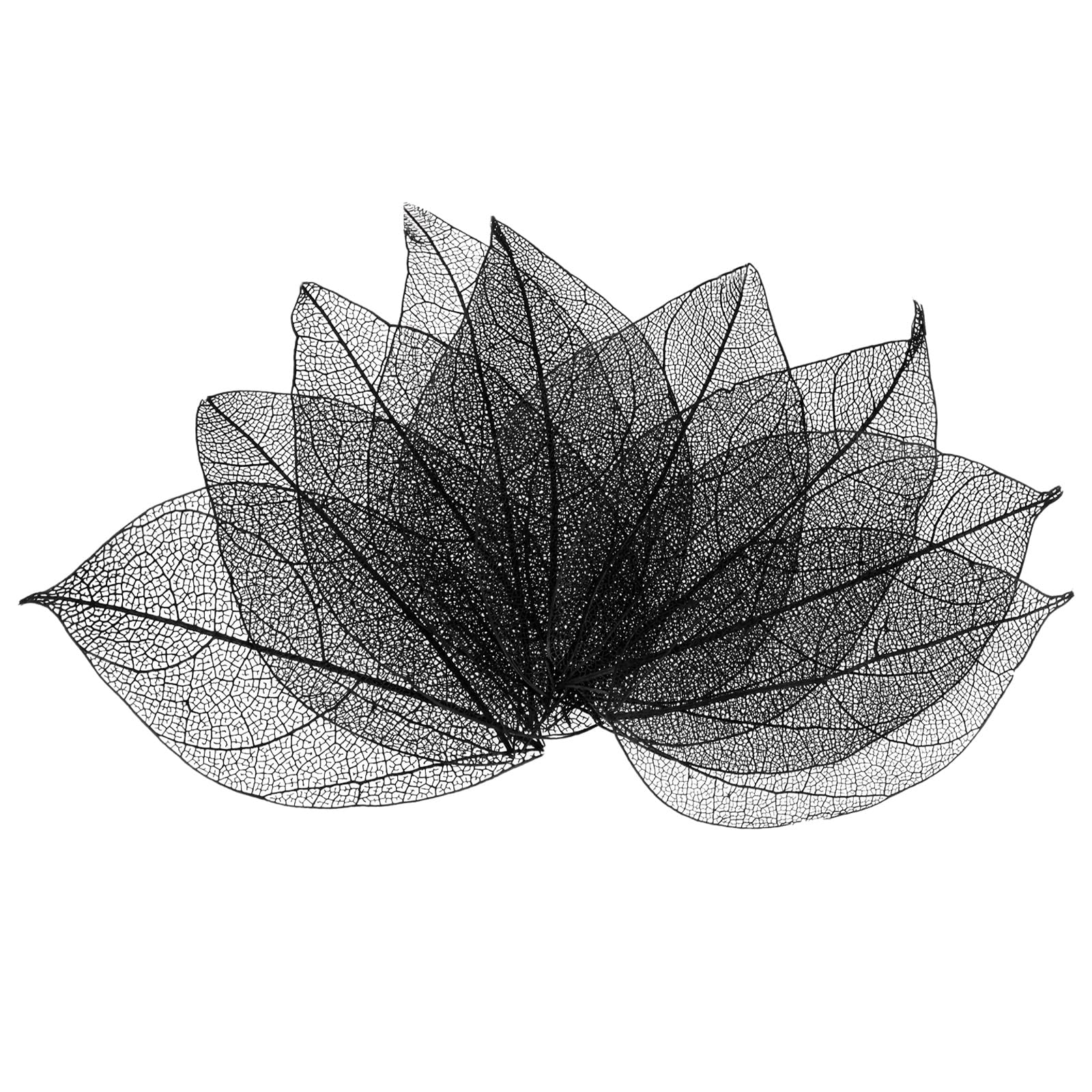 M METERXITY 200-Pack Skeleton Leaves, Natural Rubber Tree Dried Pressed Leaves Vein for Resin/DIY Crafts Card/Scrapbook/Wedding, Small Leaves Decorative [4-6cm, Black]