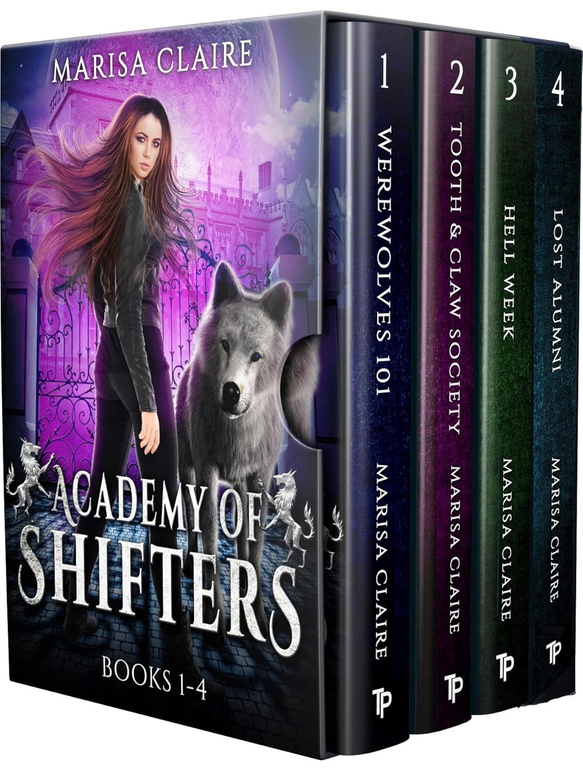 Academy of Shifters Books 14 (Veiled World Universe Book 1) eBook