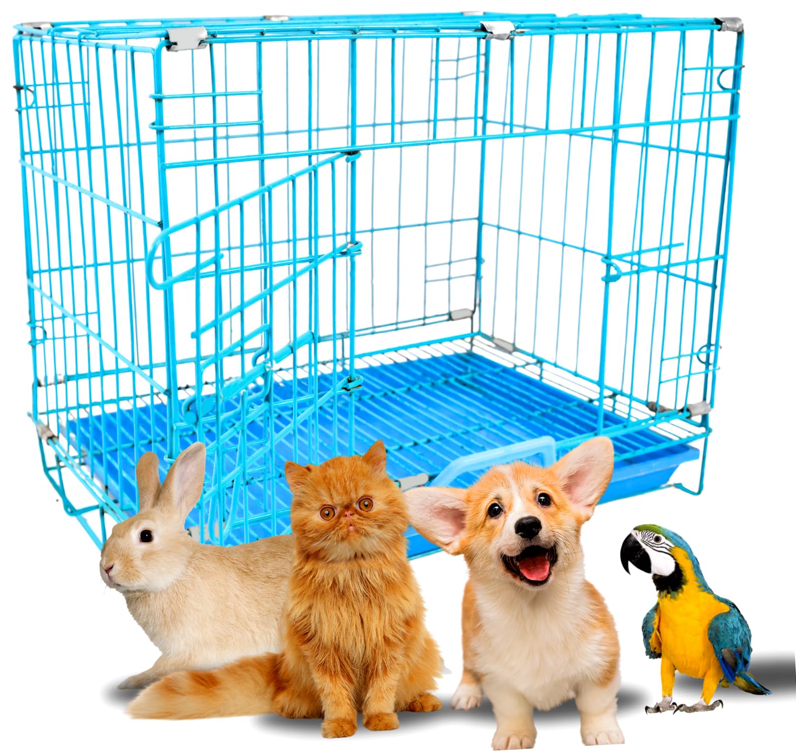 RvPaws Single Door Folding Metal Dog Cage with Paw Protector, for Puppies and Kittens, Blue, 18 Inches