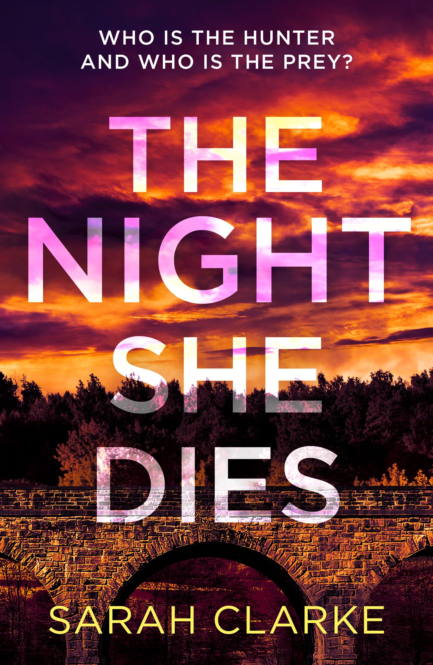 Sarah Clarke The Night She Dies Paperback Book - White