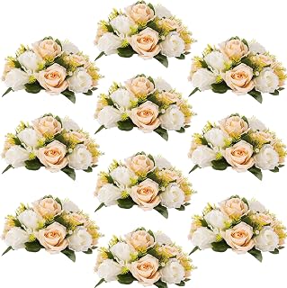 Flower Centerpieces for Wedding Tables: Wedding Table Decorations Peachy Champagne & White Flower Balls Centerpieces for Engagement Cerebration Party Center Pieces 10 Packs