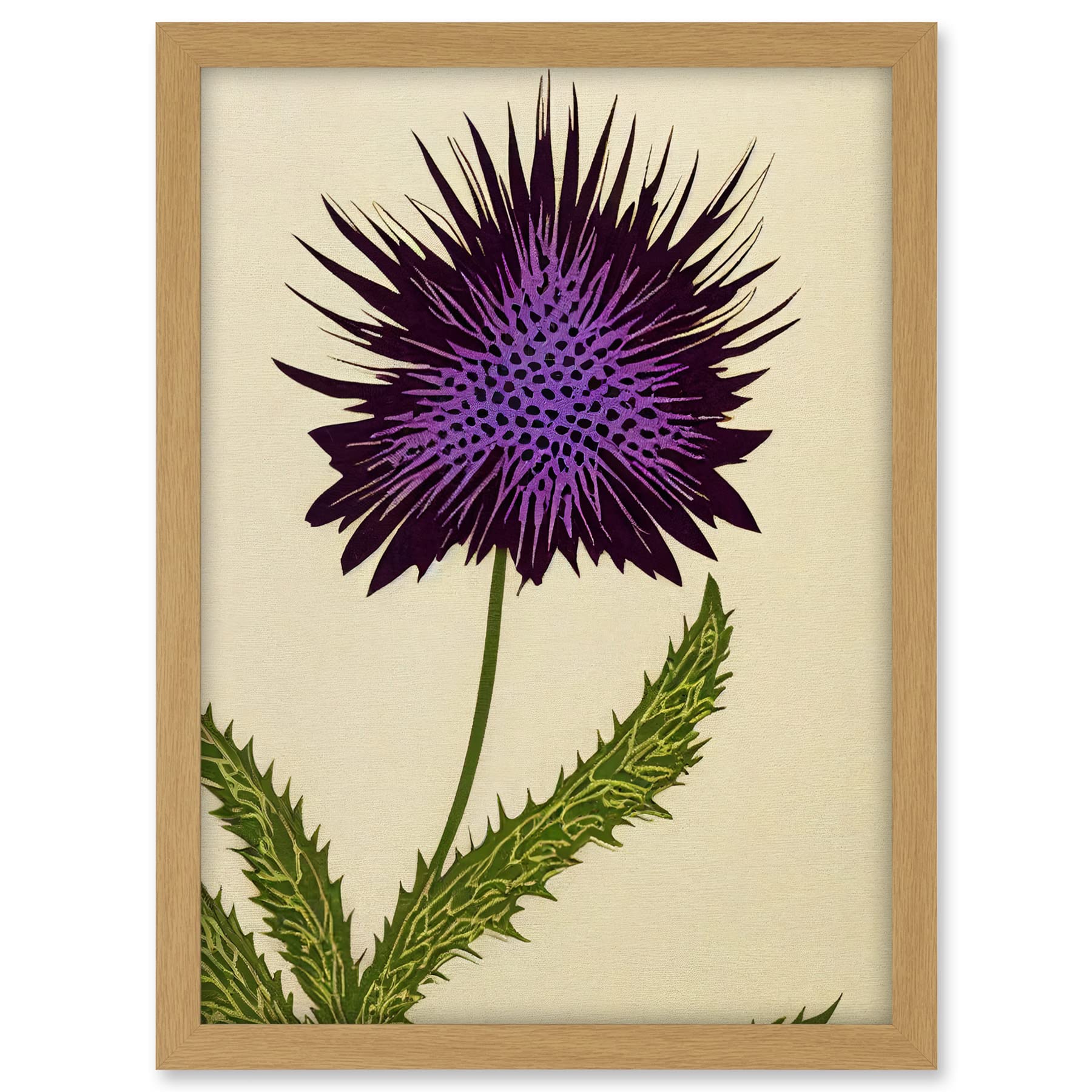 Wee Blue Coo Stylized Modern Purple Scottish Thistle Flower Illustration Artwork Framed A3 Wall Art Print