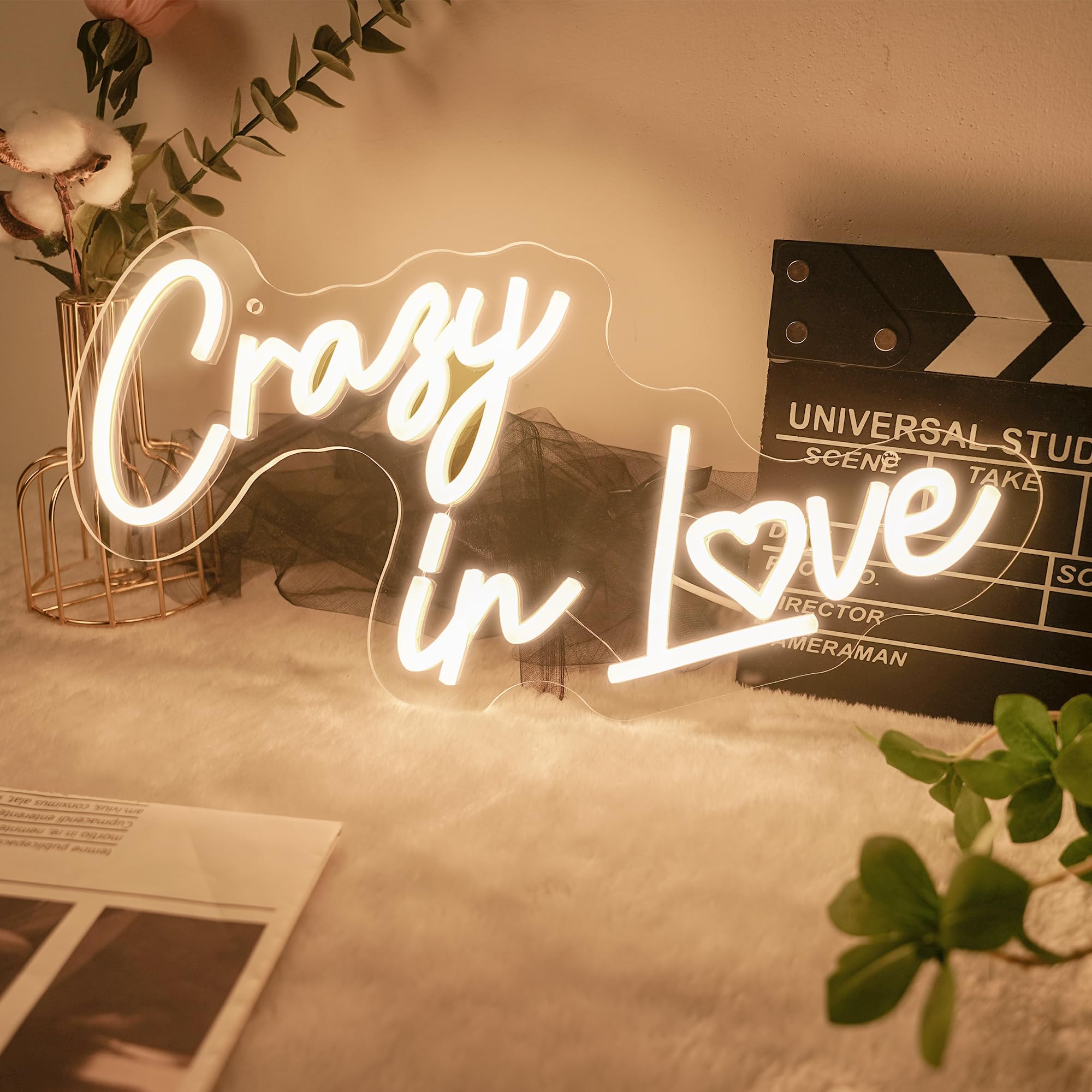 Crazy in Love neon Sign - Levels Dimmable USB neon Lights for Bedroom Wall,Wedding Party neon Light for Decoration Gift for Couples, Valentine's Day