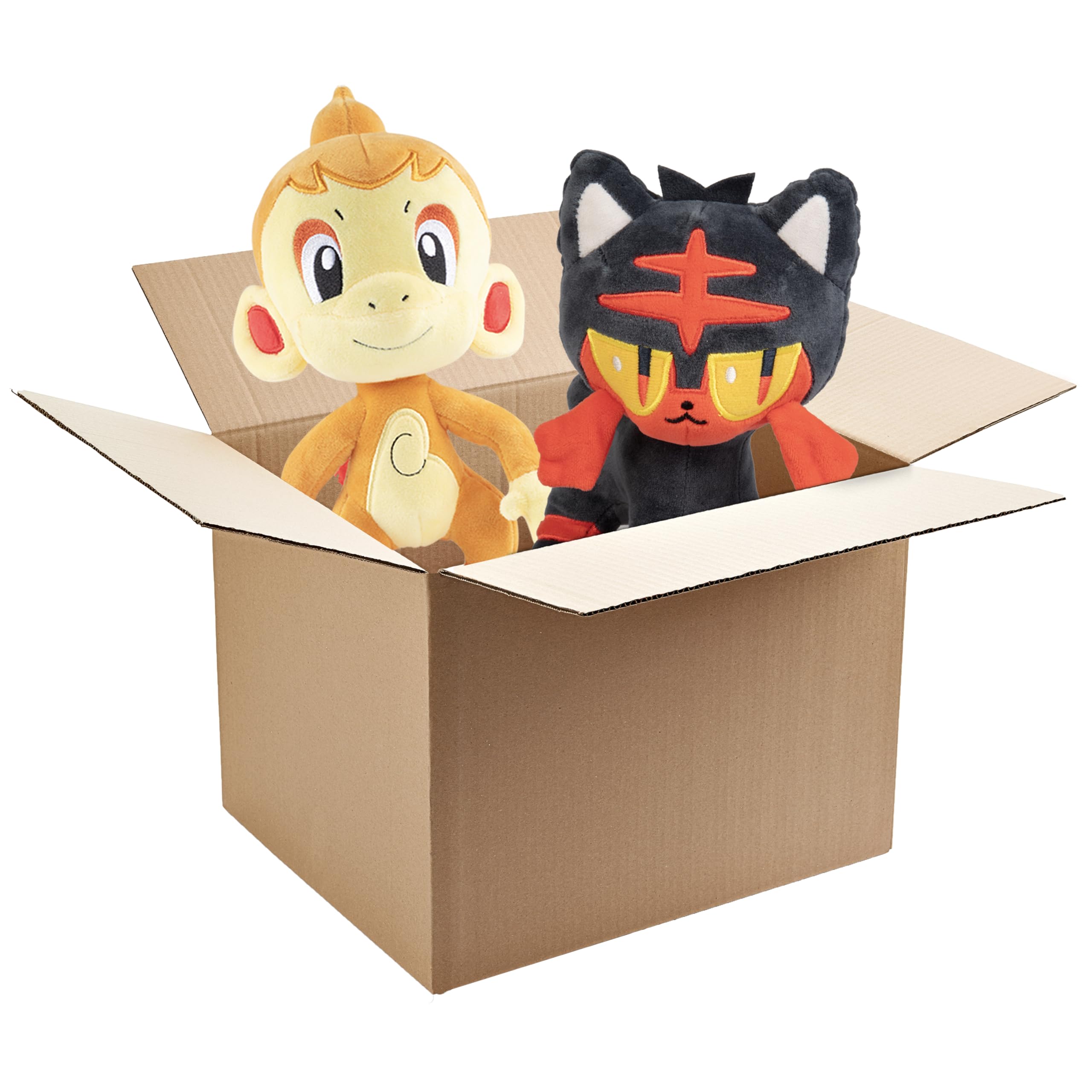 Amazon.com: Pokemon Fire Type 8