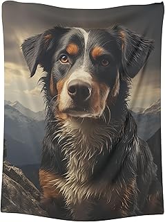 CAPITUNEISKINEPA Entlebucher Mountain Dog Blanket Gift Blanket for Bed Blanket for Couch 50