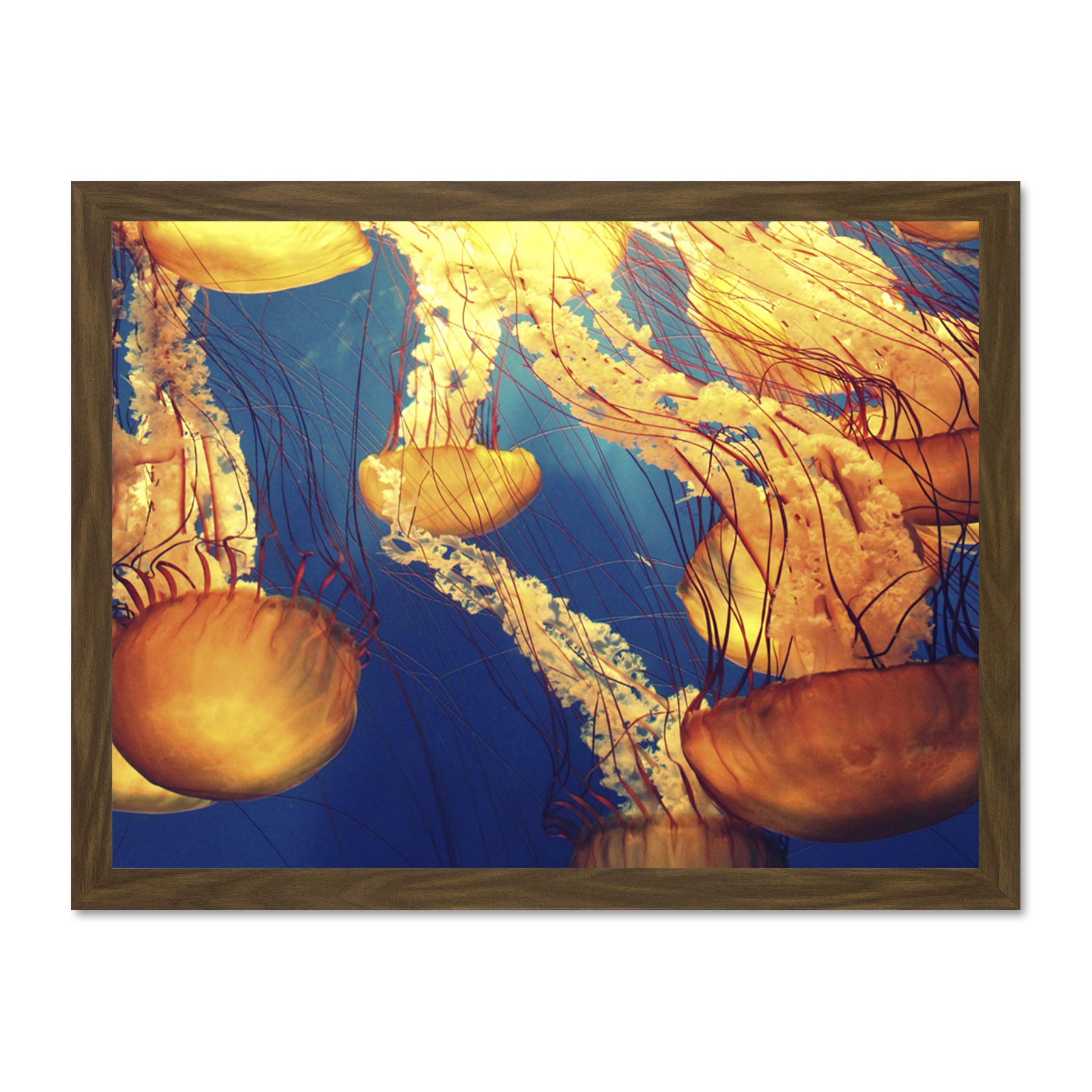 Jellyfish Group Underwater Ocean Large Framed Art Print Poster Wall Decor 18x24 inch